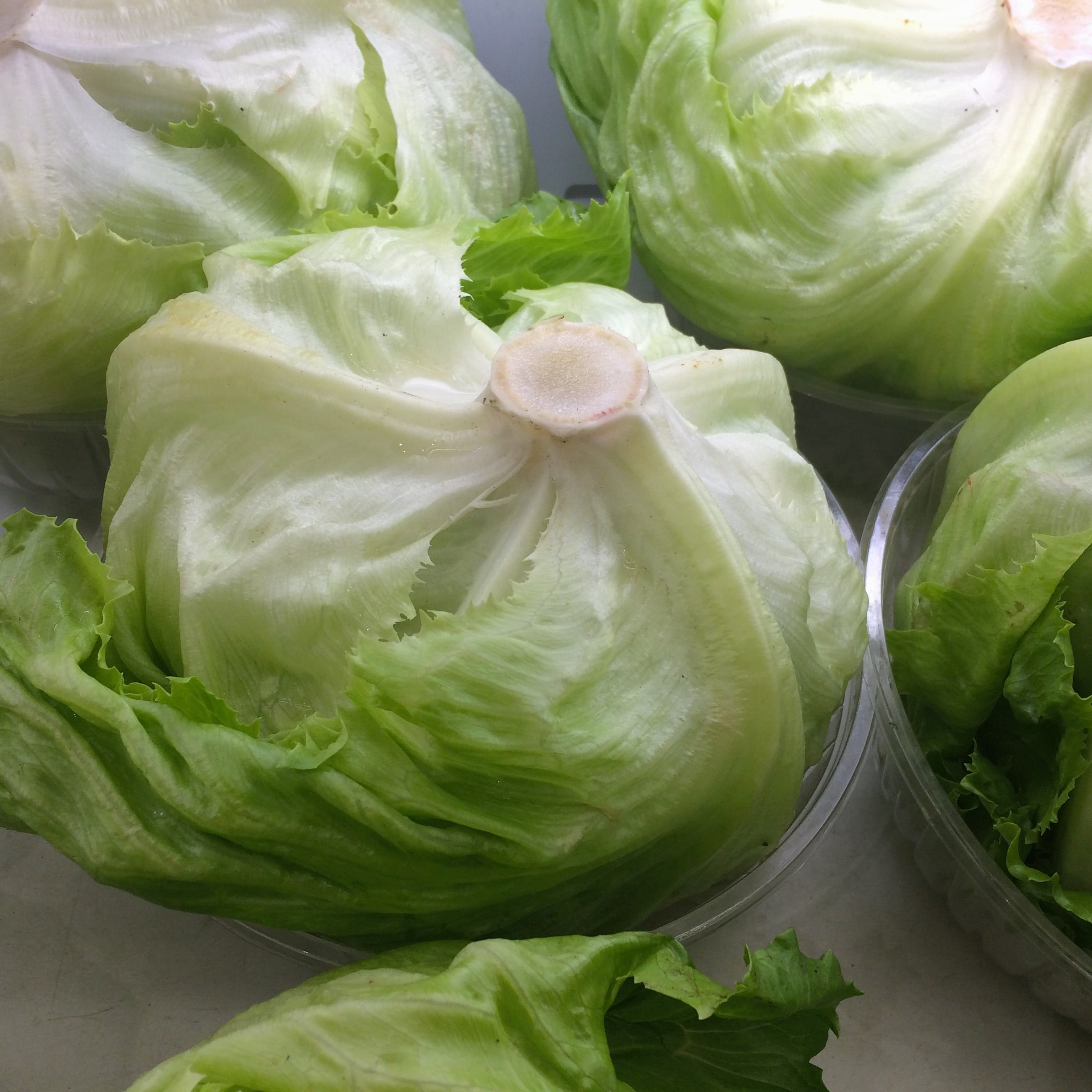 supermarket, leaf vegetable, vegetarian food, high angle view, Vegetables, cabbage, leaf, day, retail, food and drink, healthy eating, green, close-up, Phone HD Wallpaper