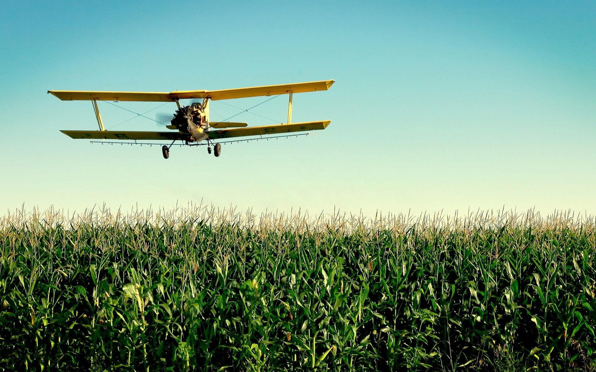 1920x1200, yellow, photography, field, corn, airplane, jet, 1080P, plane, HD Wallpaper