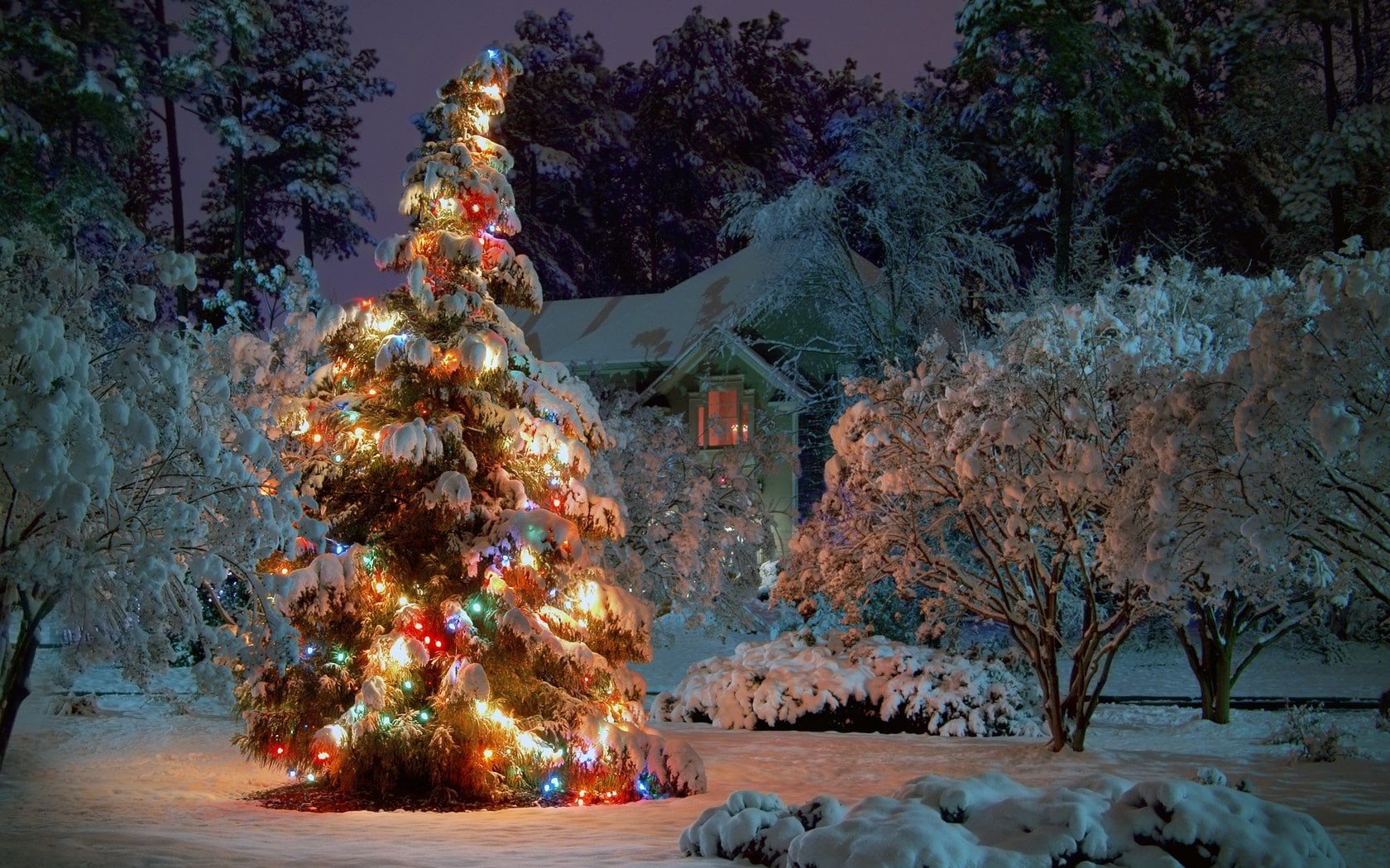 holidays, 720P, tree, Trees, architecture, houses, snow, Winter, Christmas, lights, hd, nature, art, HD Wallpaper