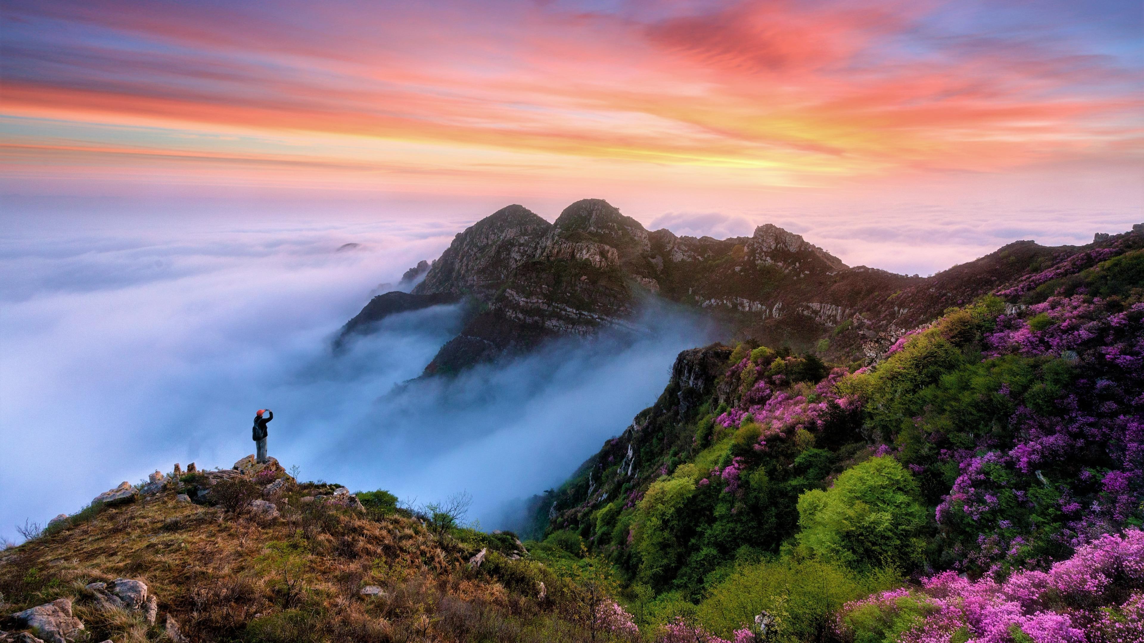 wugongshan, peak, cloud, vista, mountain, pingxiang, landscape photography, wukong mountain, landscape, panorama, view, photography, wugong mountain, 4K, HD Wallpaper