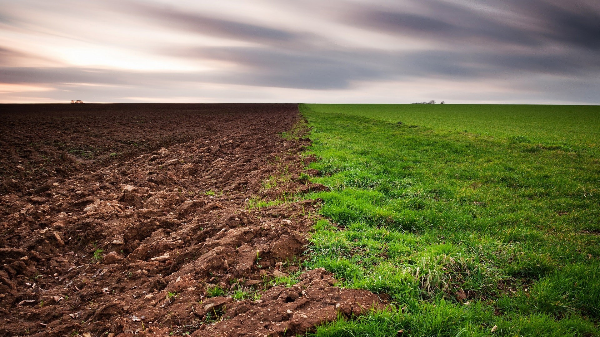 nature, clouds, horizon, 1080P, dirt, grass, landscape, overcast, green, field, brown, HD Wallpaper