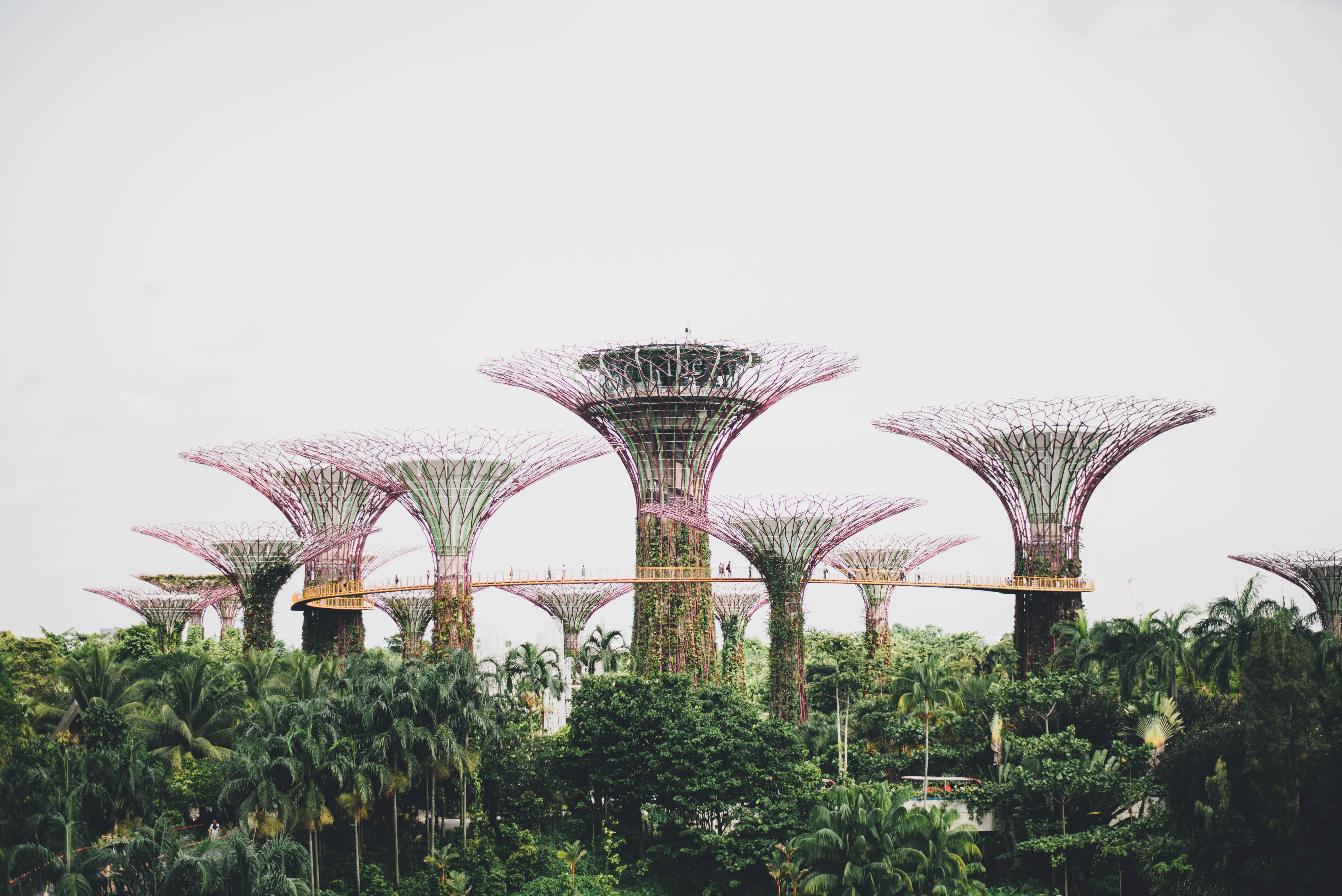 construction, plant, historic, scenery, environment, grass, tourist, summer, growth, bow, copy space, day, cloud, scenic, garden, radio telescope, tree, HD Wallpaper