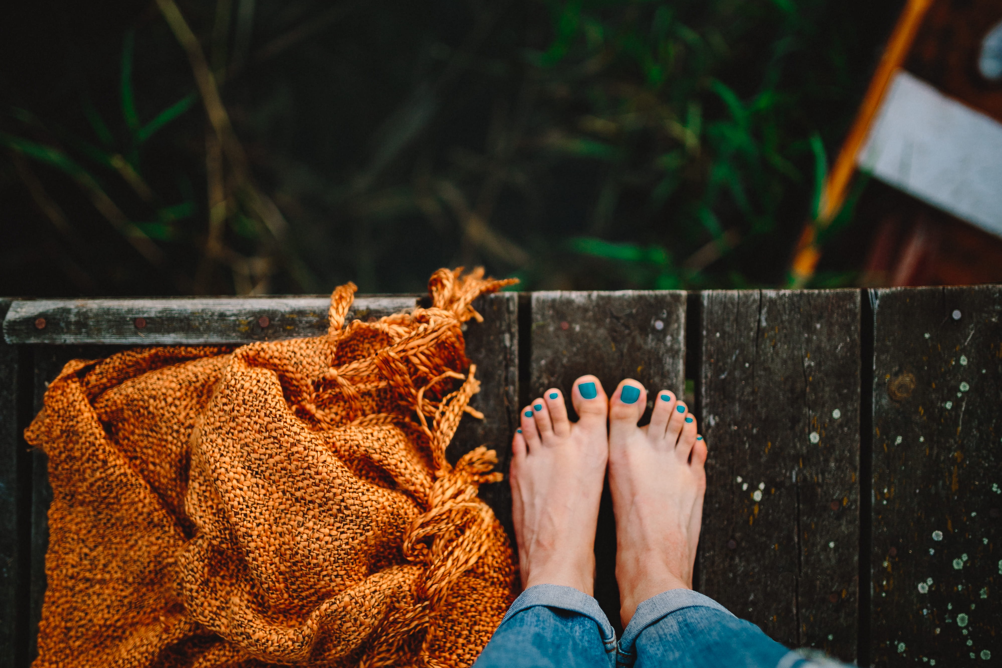 4K, nature, animal themes, wooden pier, low section, domestic cat, People, day, wood - material, human leg, lake, human limb, human foot, man, outdoors, HD Wallpaper