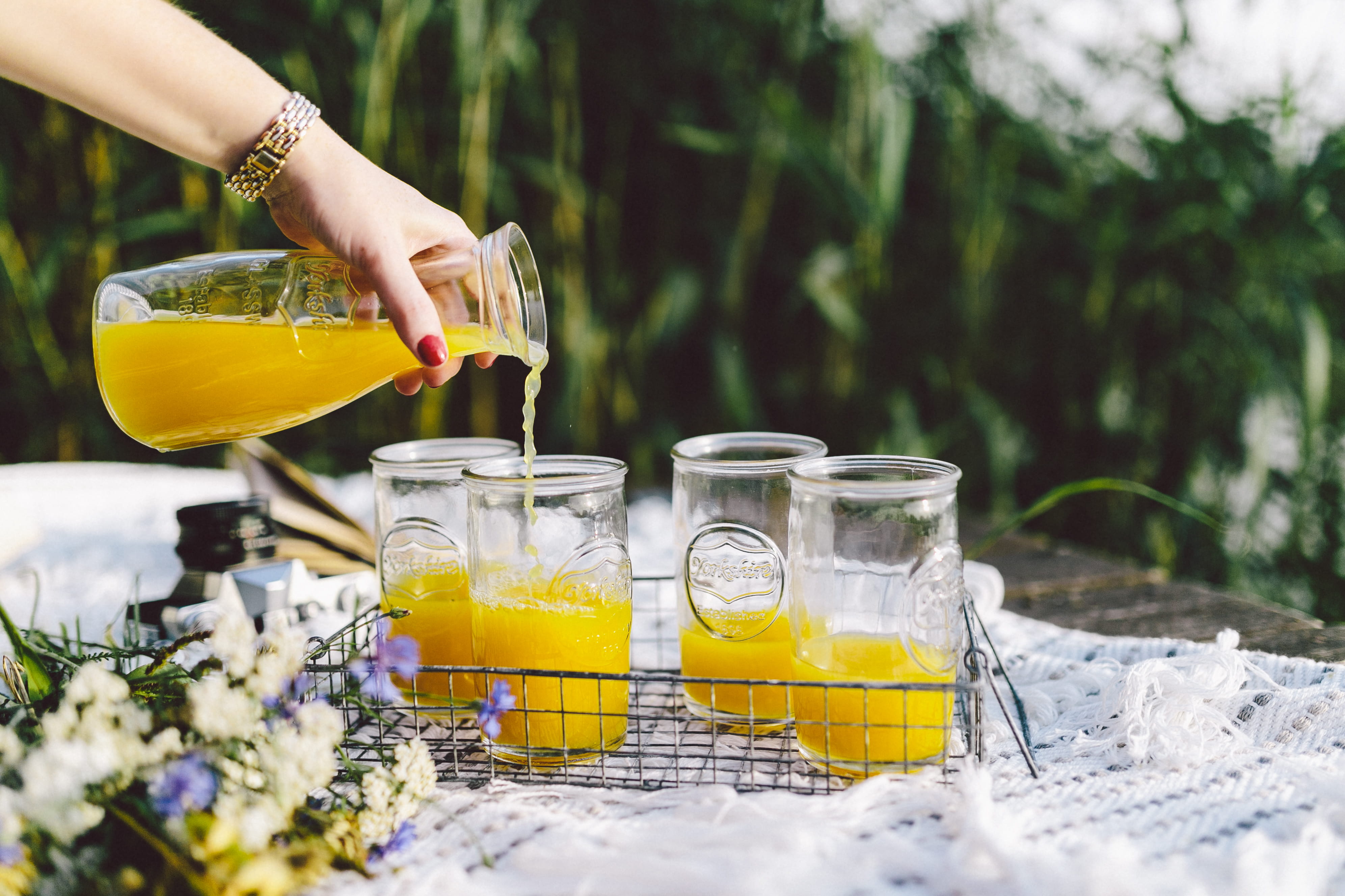 Picnic, household equipment, holidays, vacations, lake, pitcher - jug, orange juice, summer, freshness, drink, hand, only women, white cat, juice, citrus fruit, HD Wallpaper