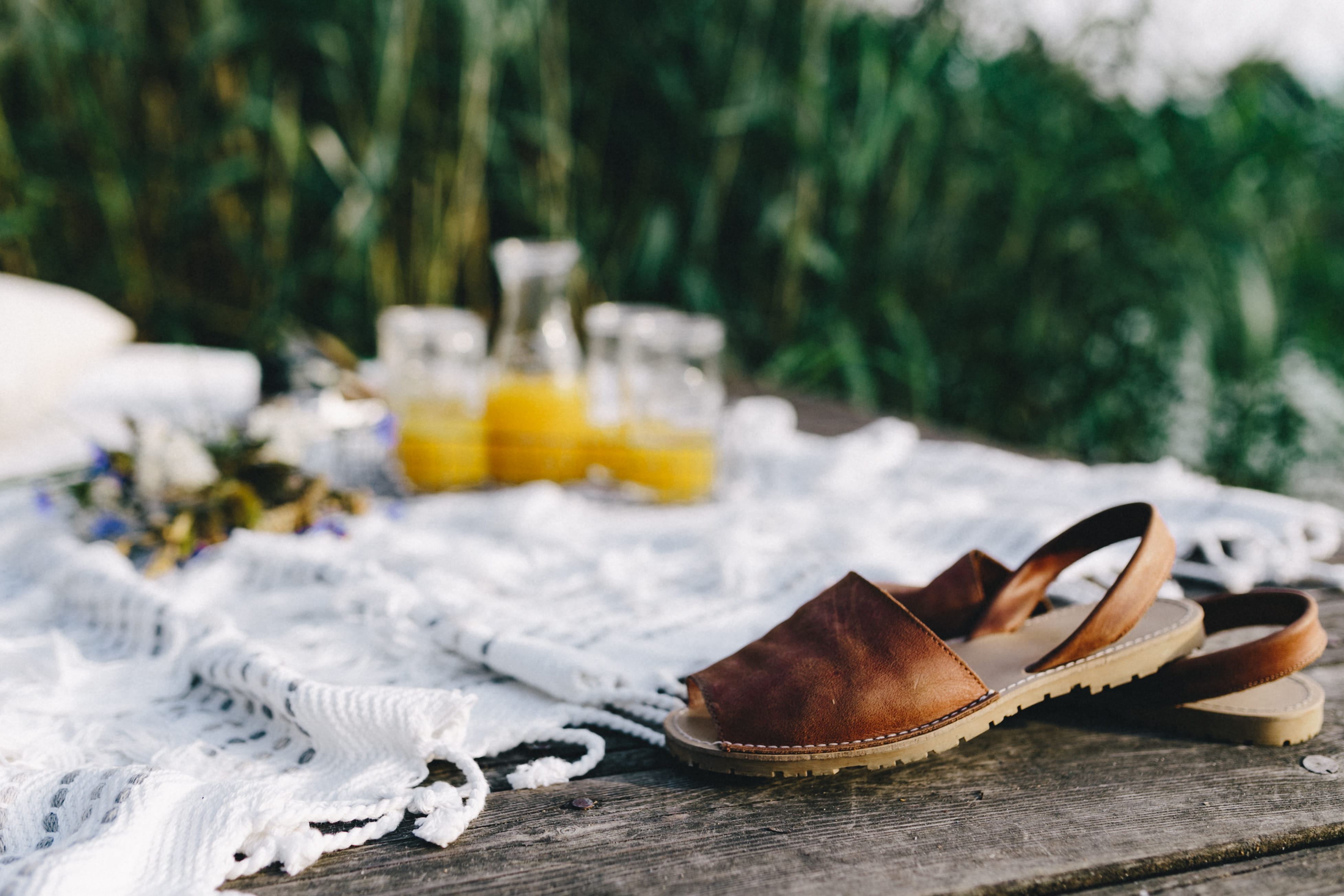 break, freshness, container, tree, 4K, eating, blanket, drink, summer, focus on foreground, plant, resting, book, close-up, refreshment, time, holidays, HD Wallpaper