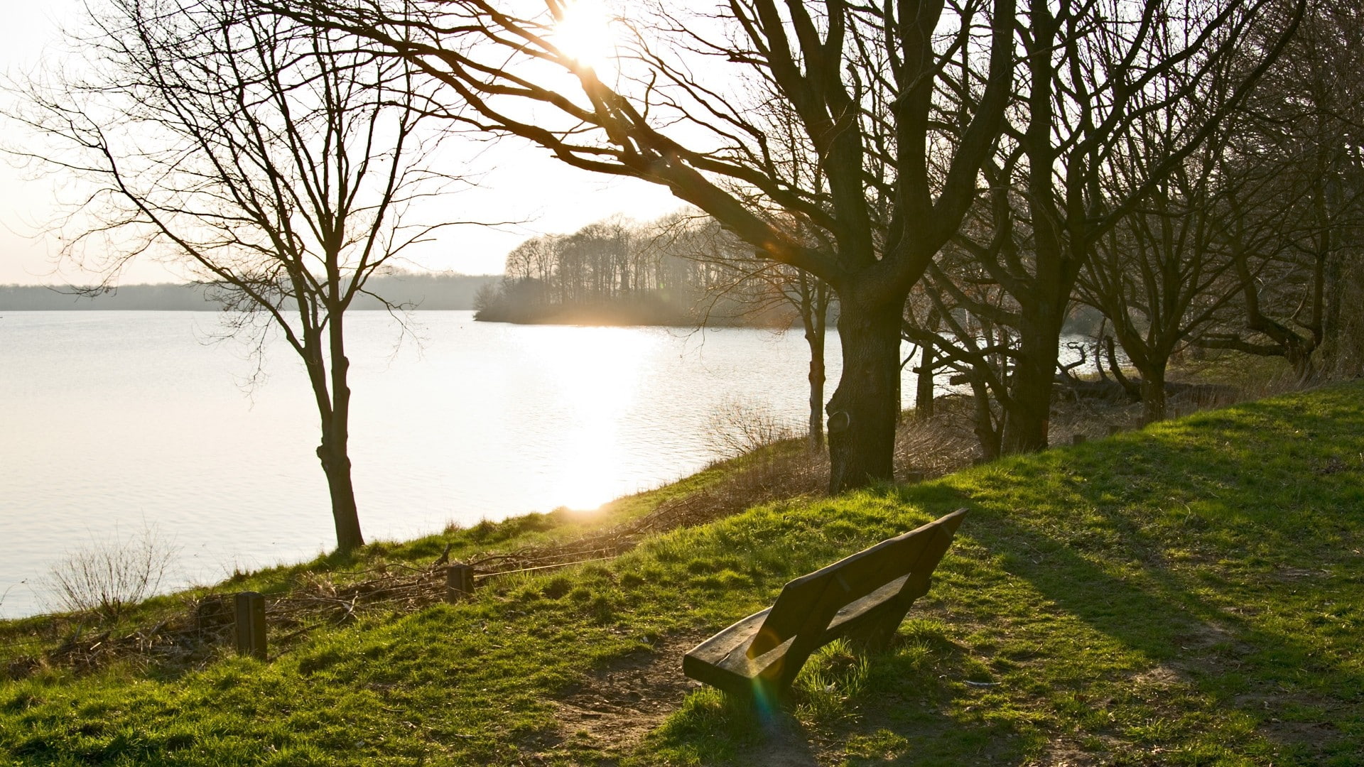 beauty in nature, lakeshore, non-urban scene, sky, 1080P, day, grass, tranquility, landscape, tranquil scene, bench, beach, tree, no people, outdoors, HD Wallpaper