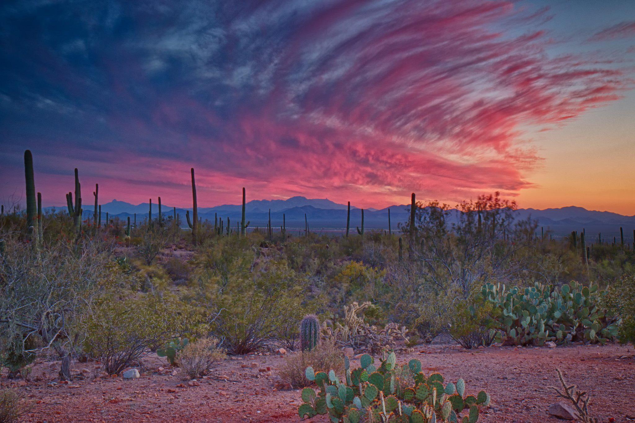 1080P, landscapes, desertss, deserts, photos, nature, HD Wallpaper