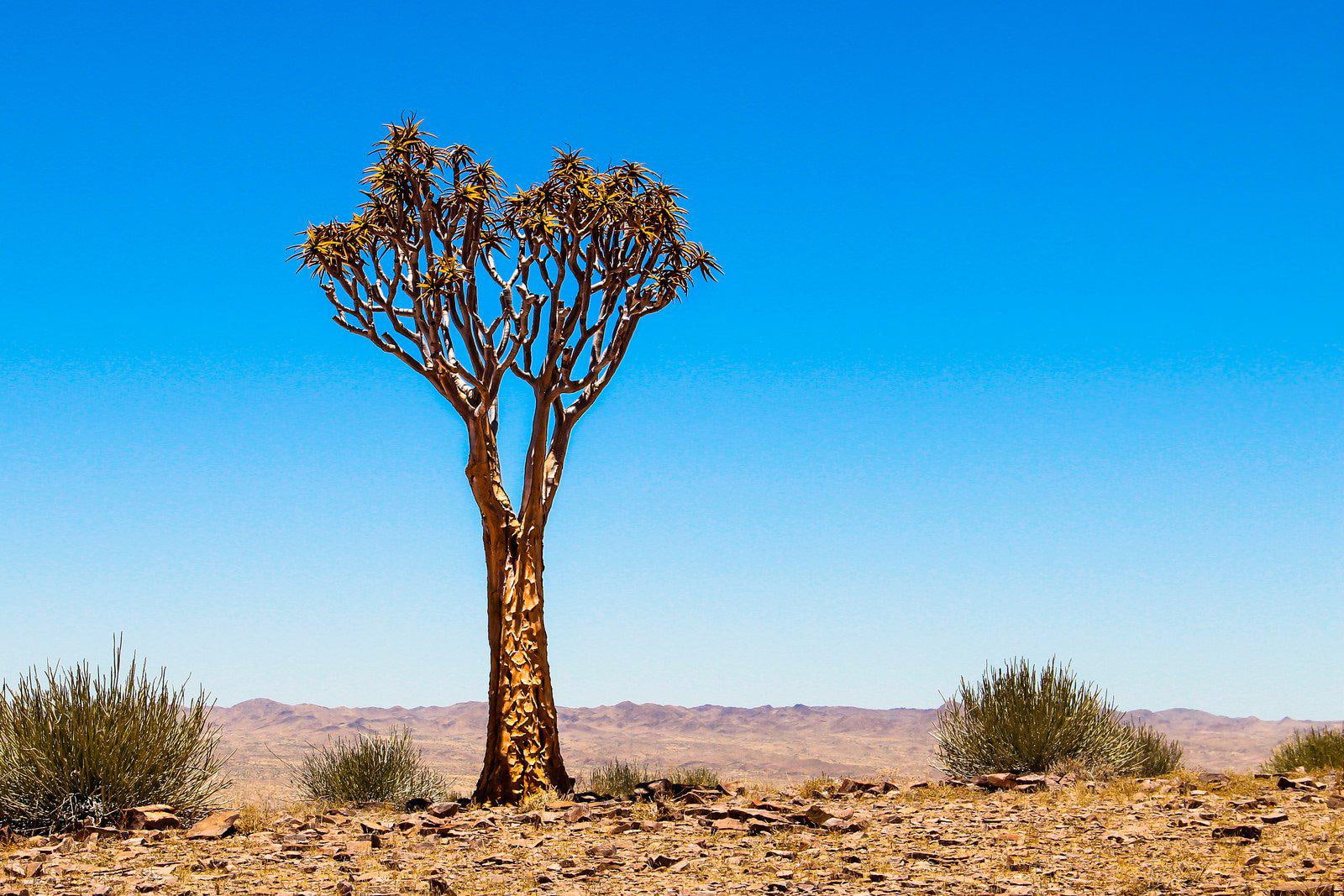 best, 720P, nature, desertss, deserts, landscapes, HD Wallpaper