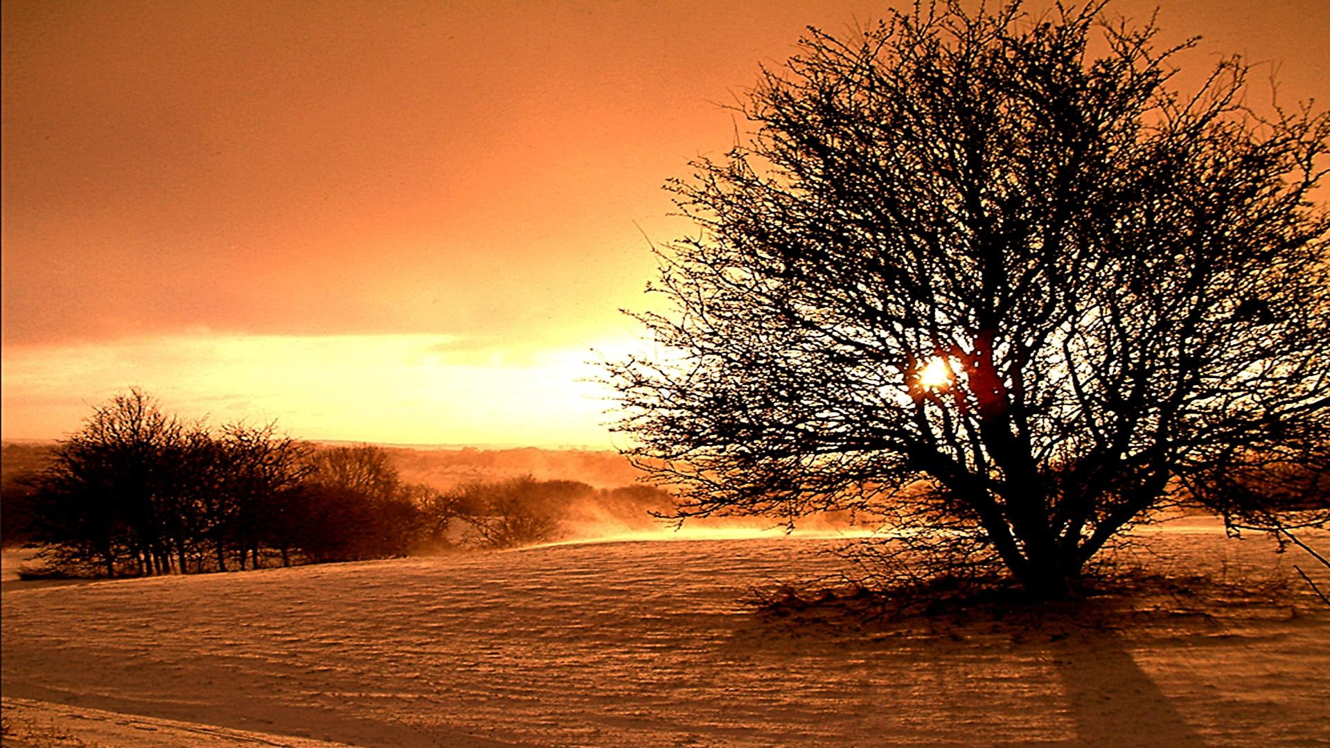 sunset, warm, cool, beauty, awesome, 1080P, nice, 3d and abstract, storm, HD Wallpaper