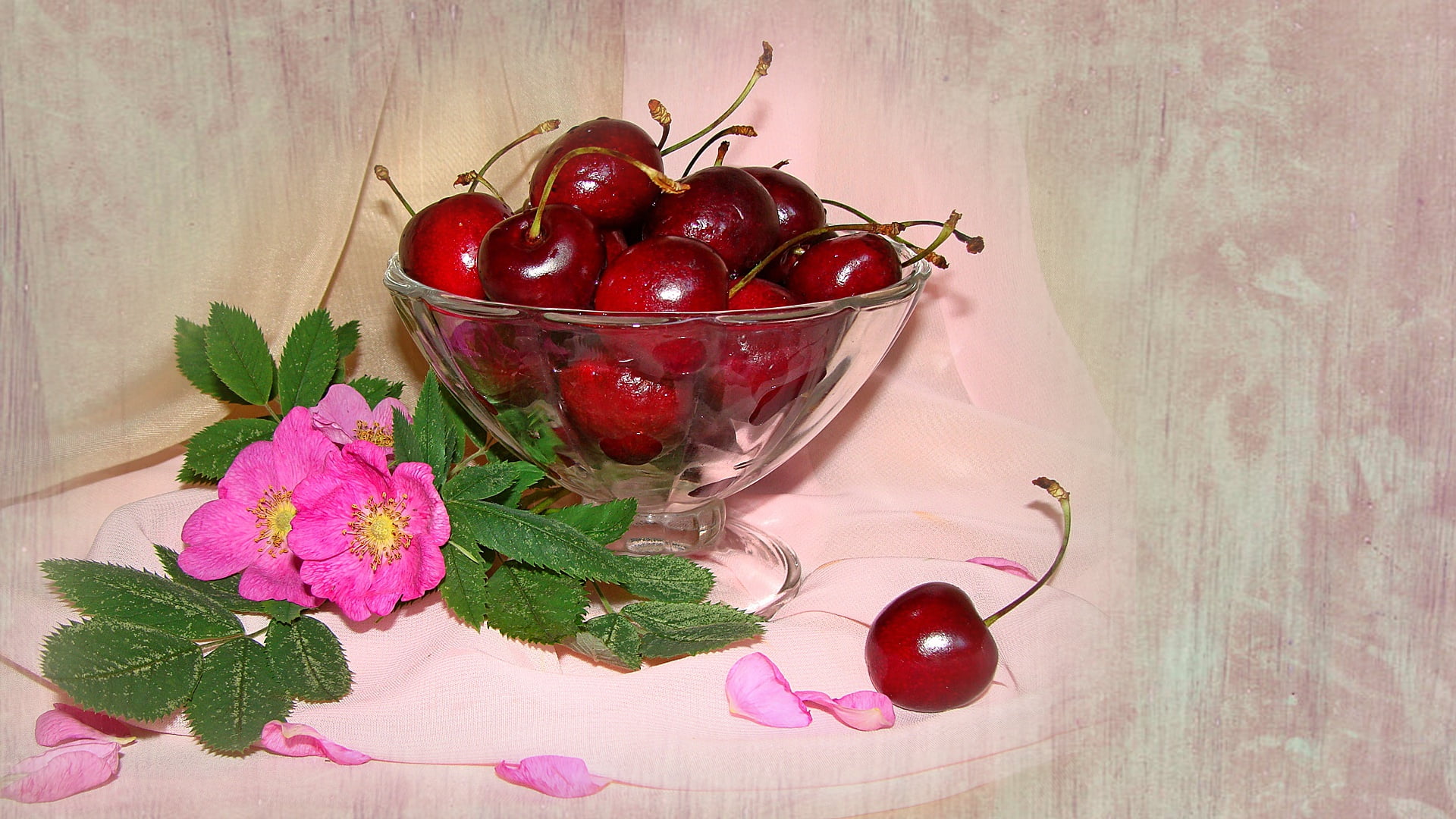 beautiful, briar, harmony, nice, mood, 1080P, bouquets, nature, wedding, flower, authors photo by Elena Anikina, cherry, bouquet, summer, delicate, beauty, HD Wallpaper