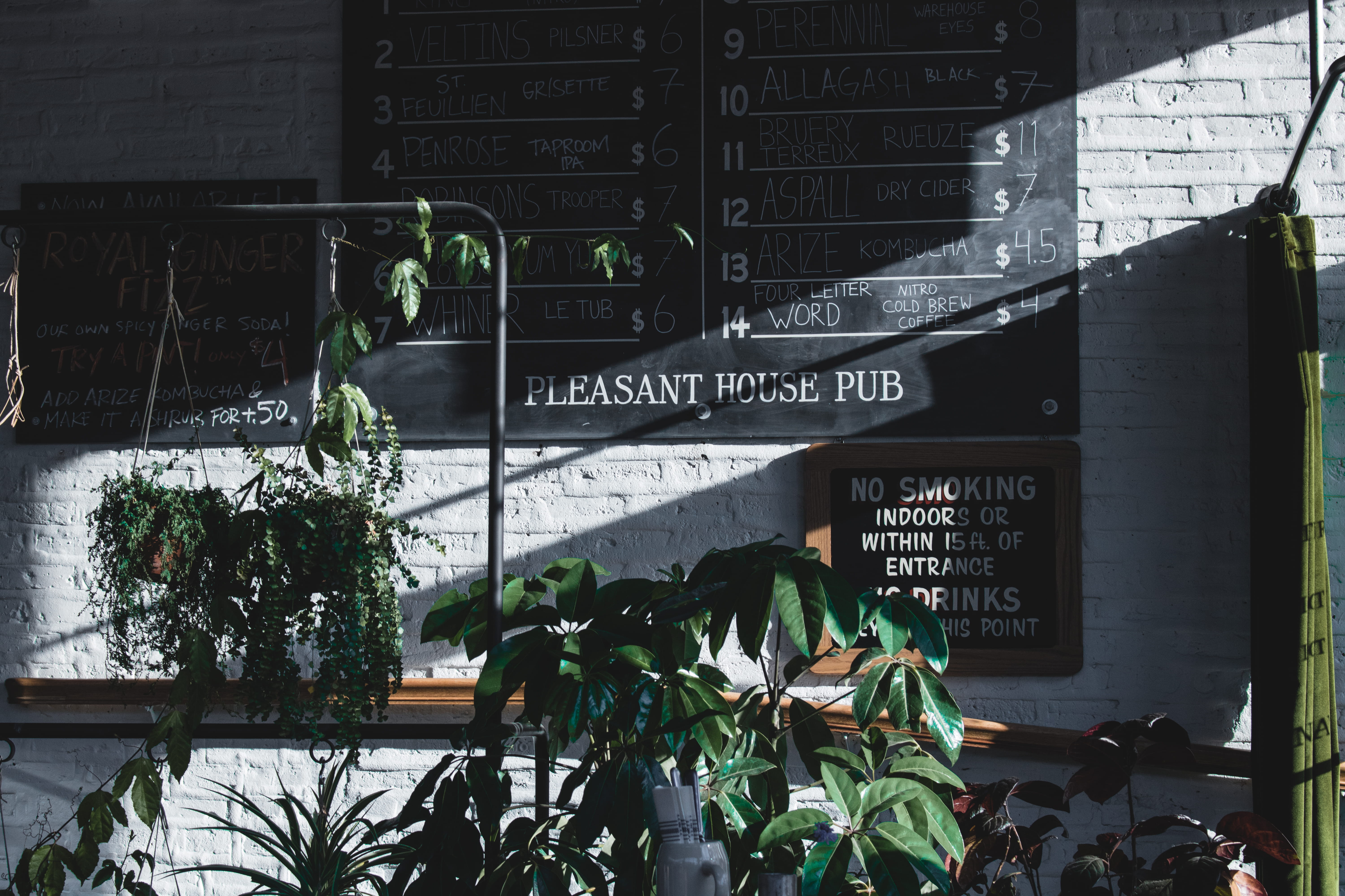 cafe, succulents, hipster, brithish, green, information, hip, bar, architecture, script, leaf, united states, usa, non-western script, plants, growth, communication, HD Wallpaper