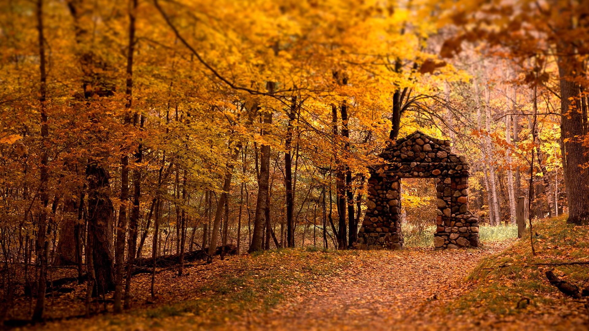 change, landscape, footpath, growth, daytime, day, field, beauty In Nature, sunlight, fall, trees, ruin, idyllic, autumn collection, scenics - nature, no People, HD Wallpaper