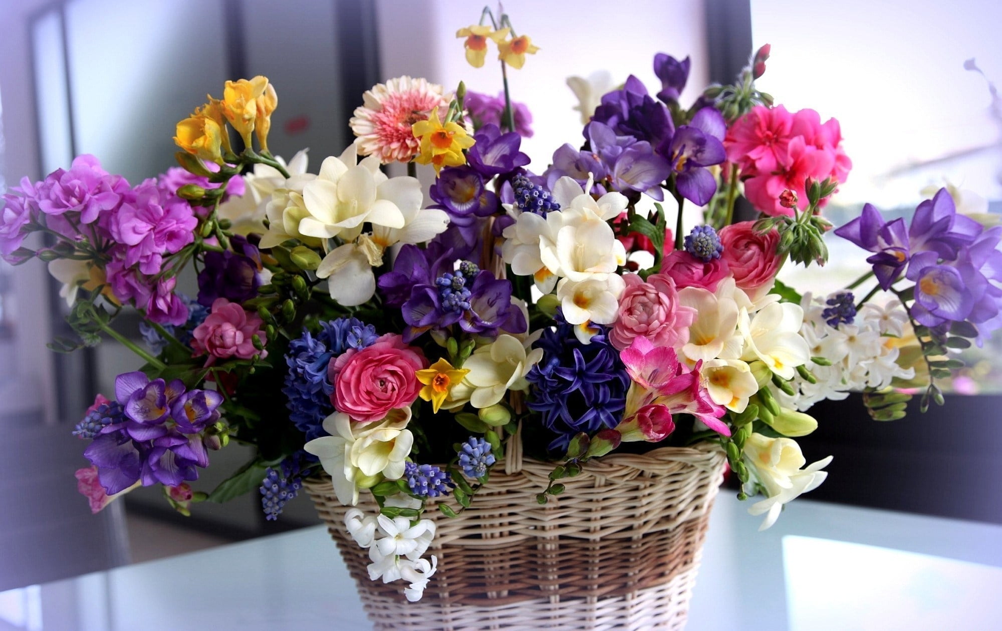 gift, orchid, cut Flowers, decor, vulnerability, pink Color, flower arrangement, blossom, colorful, vase, flower Head, inflorescence, ornate, springtime, HD Wallpaper