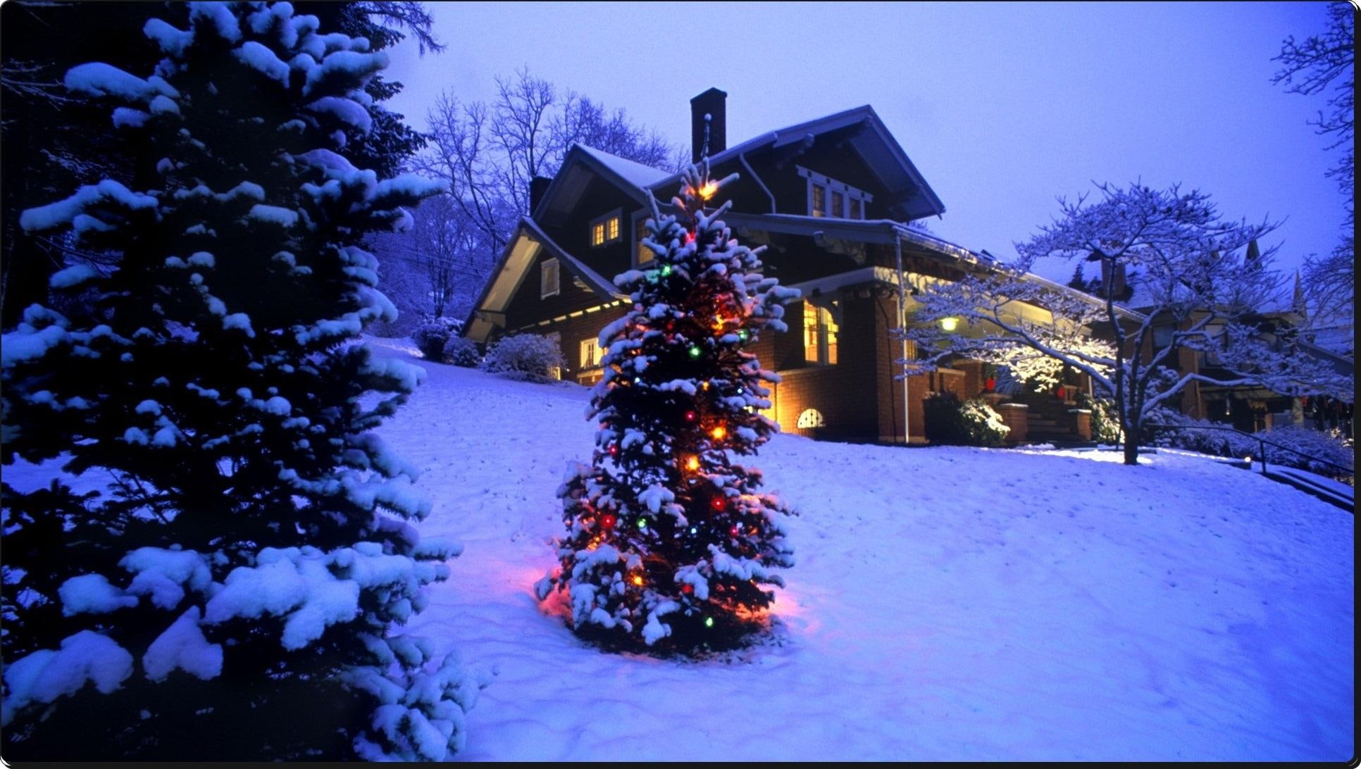 night time, 1080P, tree, home, christmas tree, nature and landscapes, snow, christmas, lights, hill, HD Wallpaper