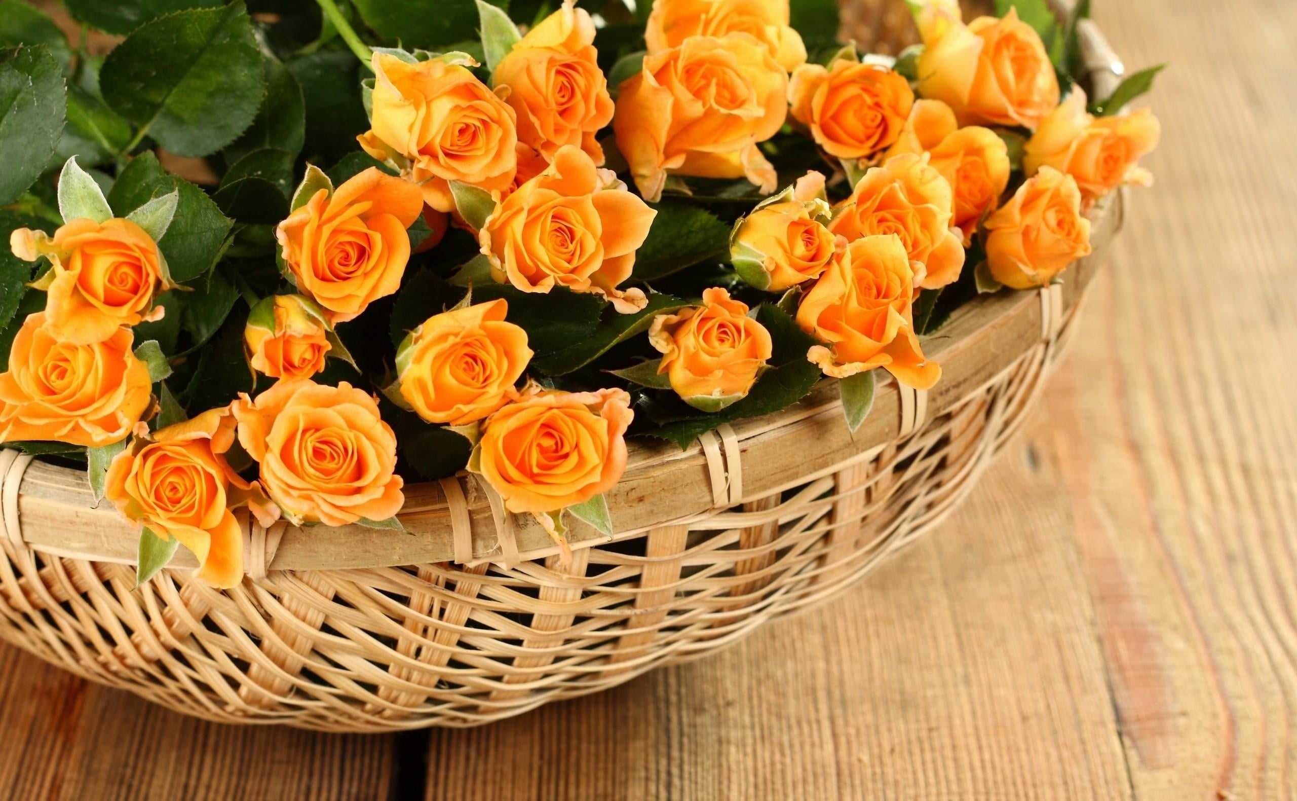 orange, nature, softness, backgrounds, flower arrangement, blossom, summer, bunch of flowers, orange Color, celebration, gift, flower, vulnerability, flowers, HD Wallpaper