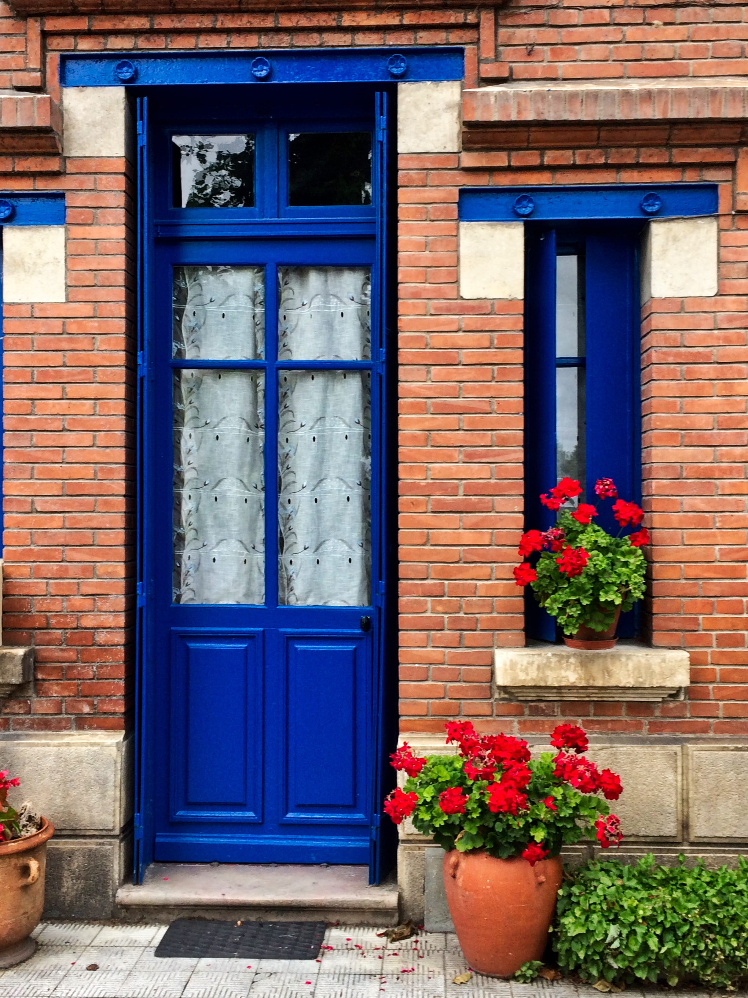 window box, building exterior, home decor, growth, day, urban, blue, 2K, shutter, building, porch, residential district, curtain, flower arrangement, plant, Phone HD Wallpaper