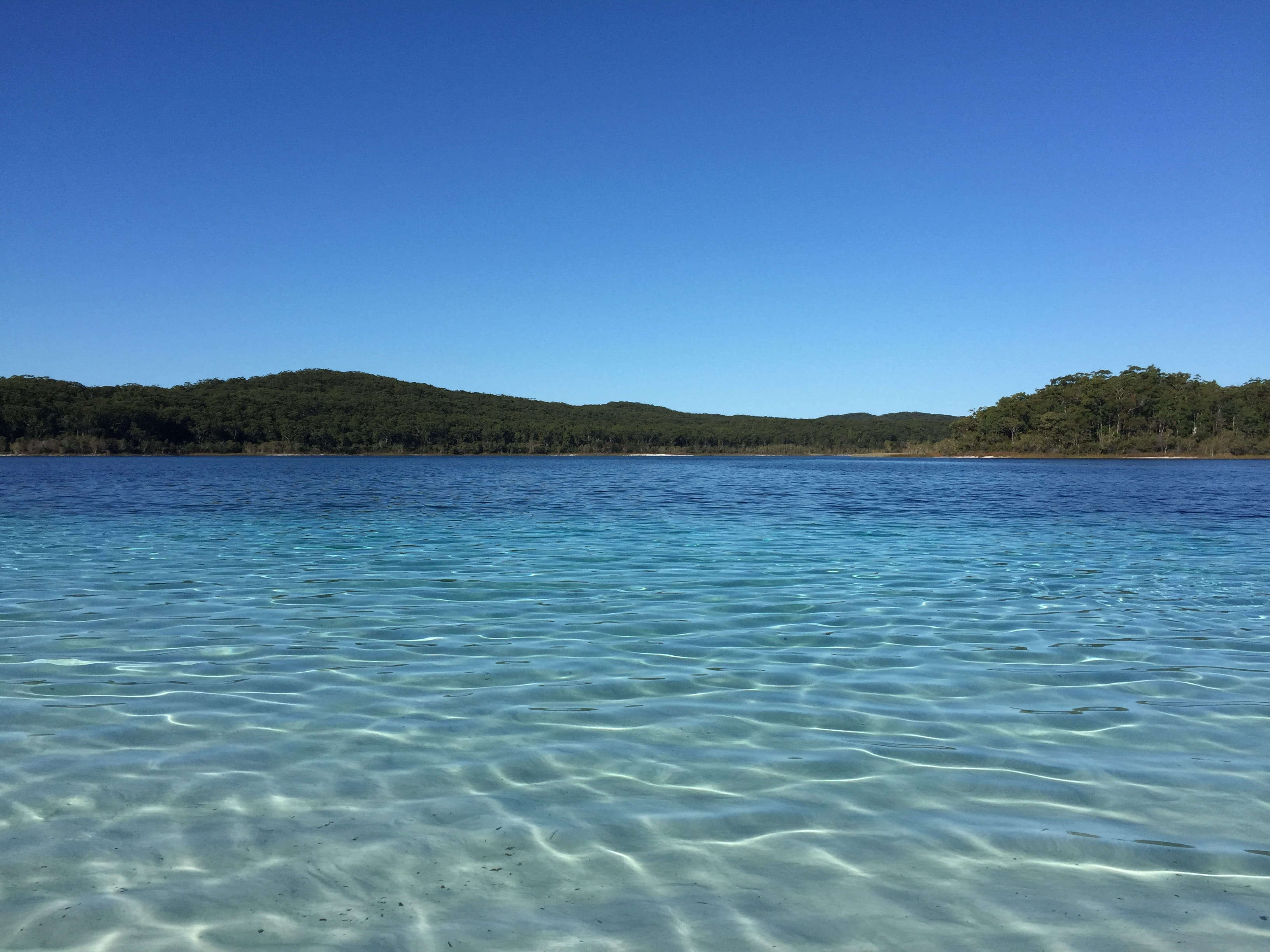 shallow, Water, tranquility, sky, idyllic, outdoors, rippled, scenics - nature, Stell, no people, copy space, sea, day, lagoon, 2K, clear sky, tree, land, HD Wallpaper