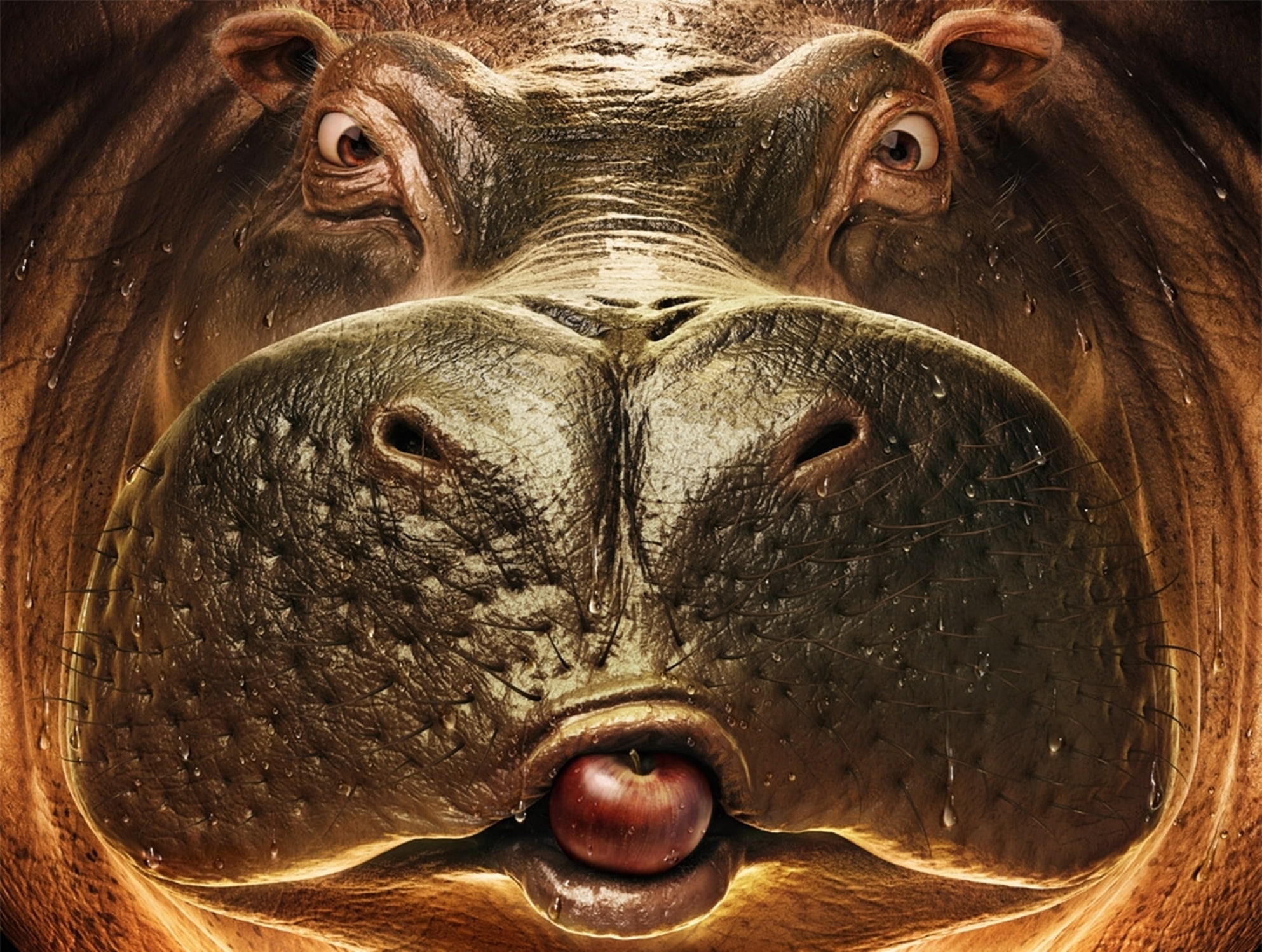 Apples, Conti, Fave, animals, humor, pedro, eyes, 1080P, Hippo, CG, art, digital, funny, pov, fruit, HD Wallpaper