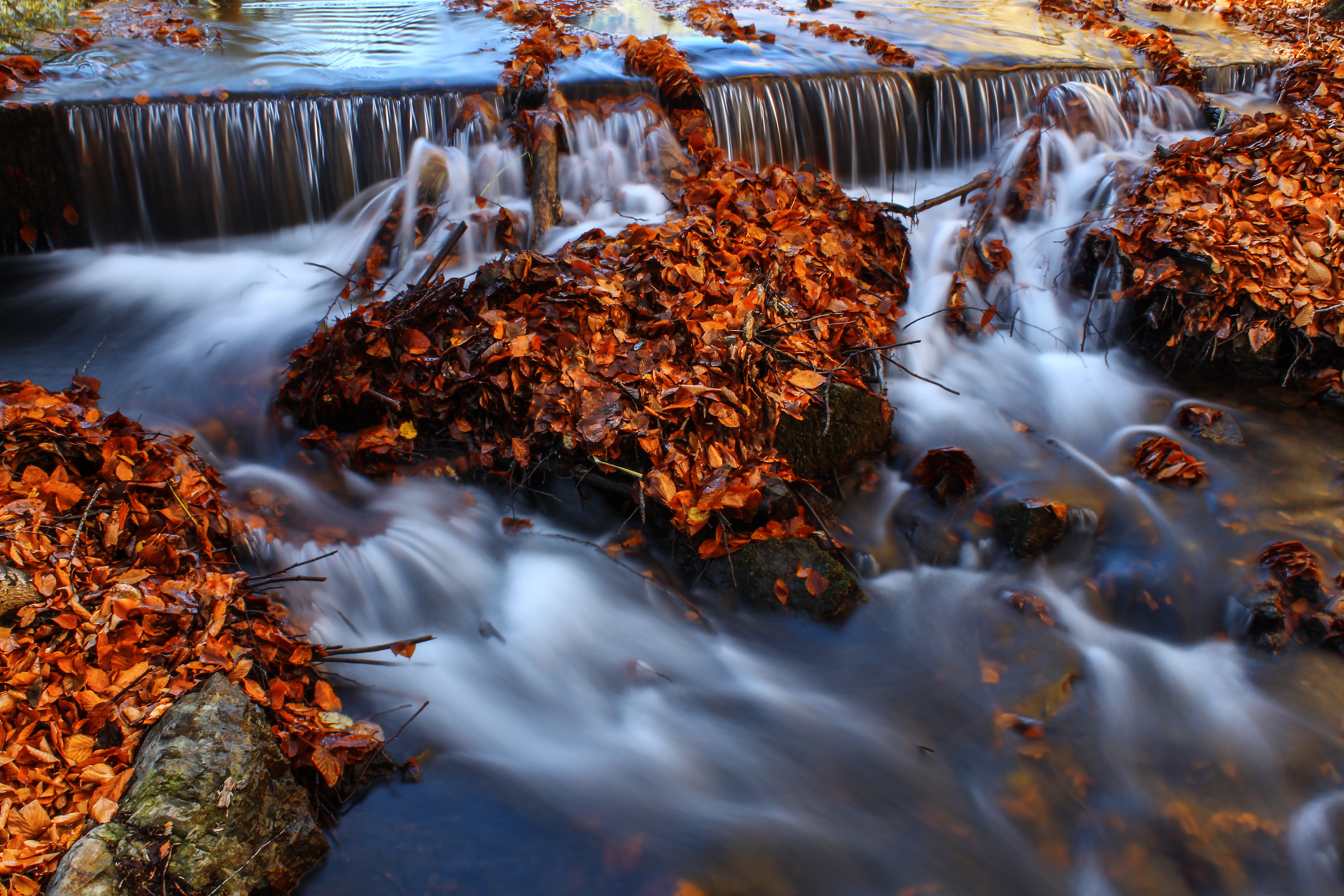 Faves, waterfall, wet, brown, autumn, scenics, tree, leaf, water, freshness, forest, stream, leaves, landscape, rapid, autumn  leaves, hearth, 4K, flowing, HD Wallpaper