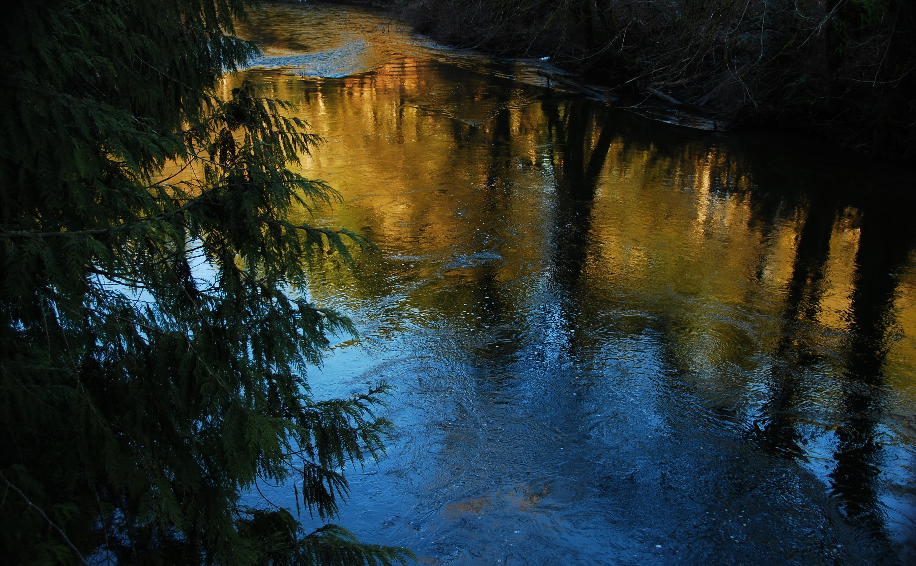 Rivers, gold, Nature, 4K, pure, Autumn, HD Wallpaper