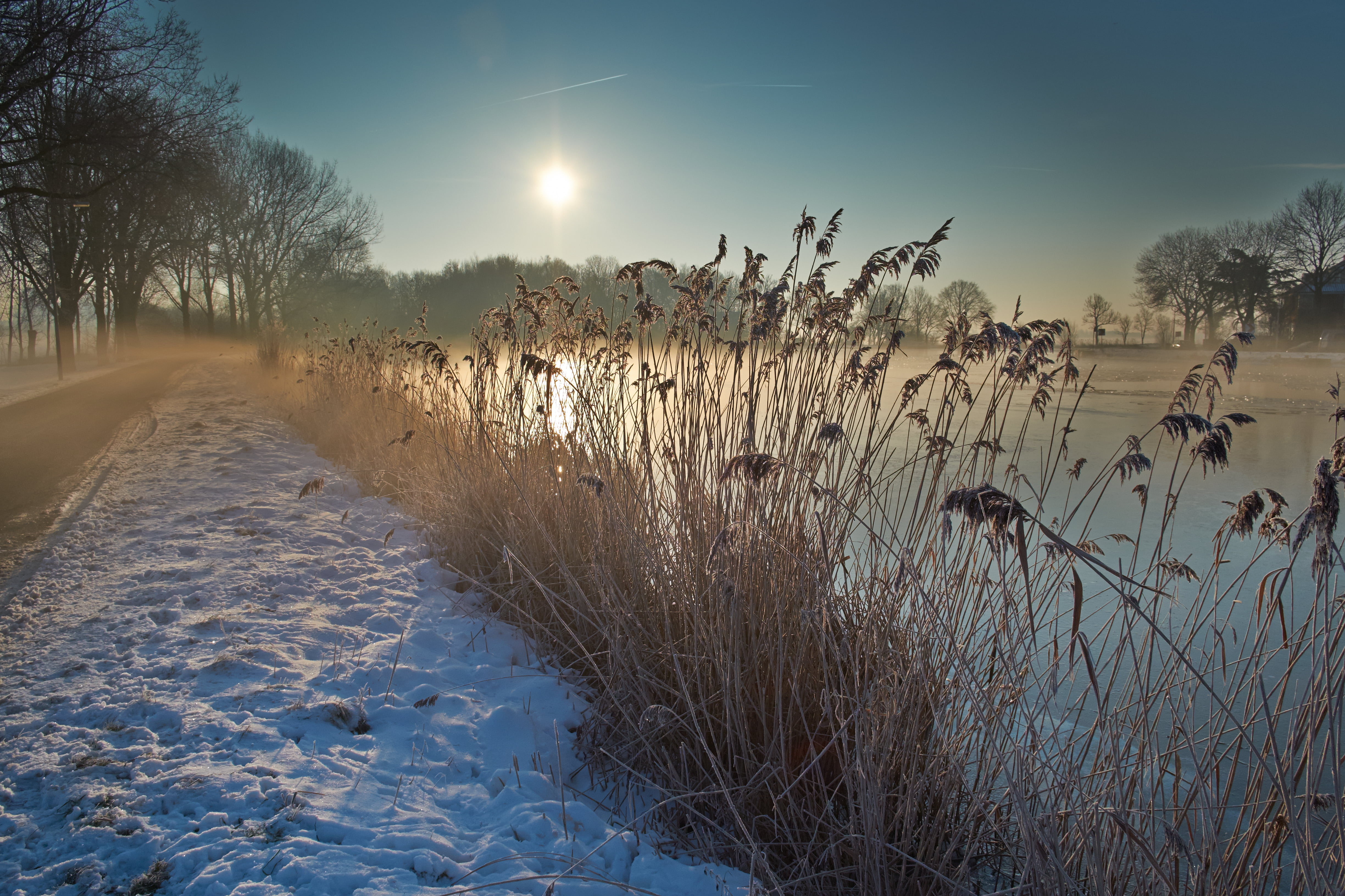 sun, reeds, water, body of water, tree  river, nature, OuderAmstel, mood, brown, landscape, polarize, embankment, Netherlands, Nederland, road, Amstel, HD Wallpaper