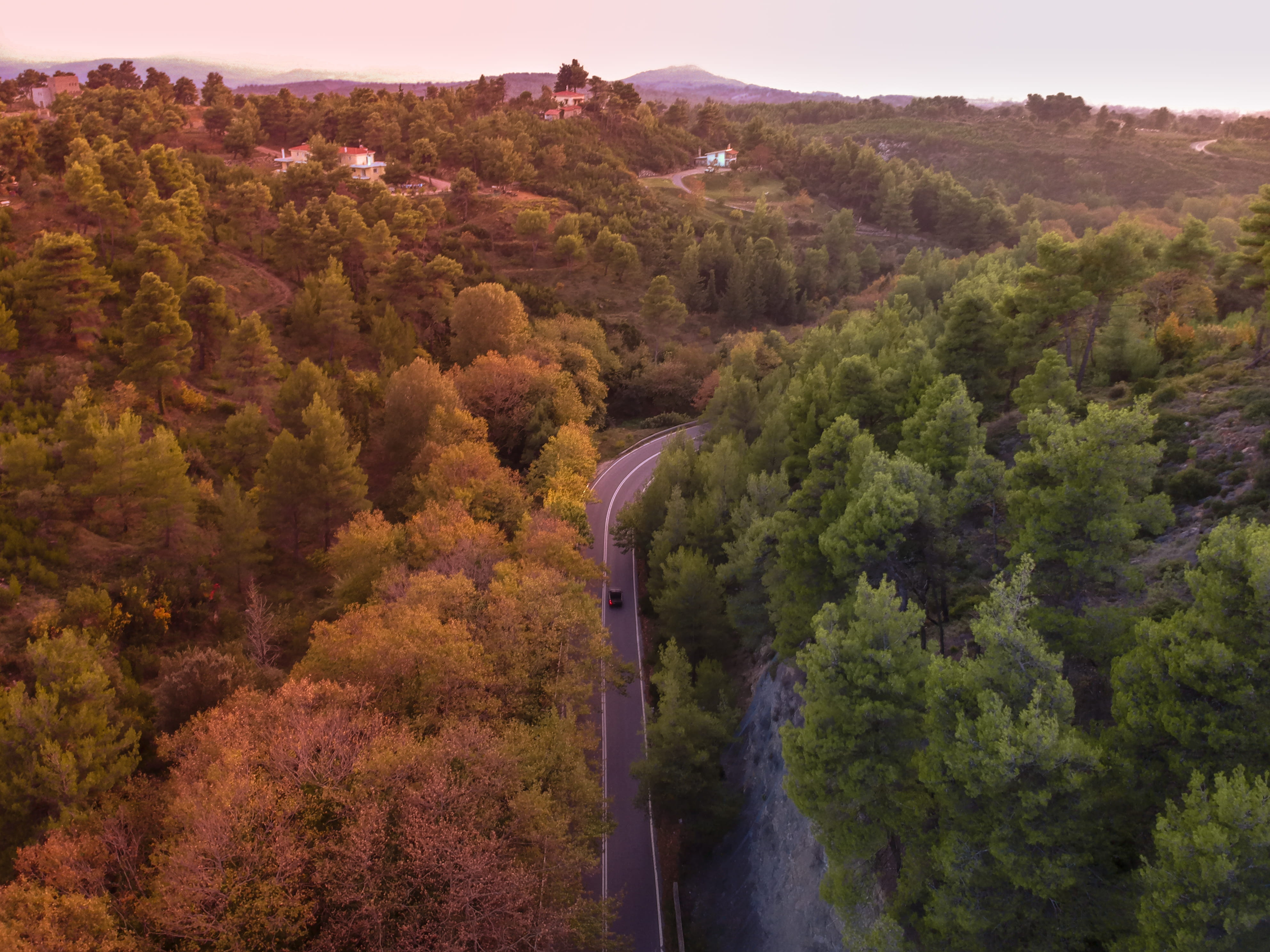 4K, woodland, greece, beauty in nature, day, vegetation, outdoors, environment, epar.od. marathon-kapandritiou, tranquil scene, change, tranquility, plant, HD Wallpaper