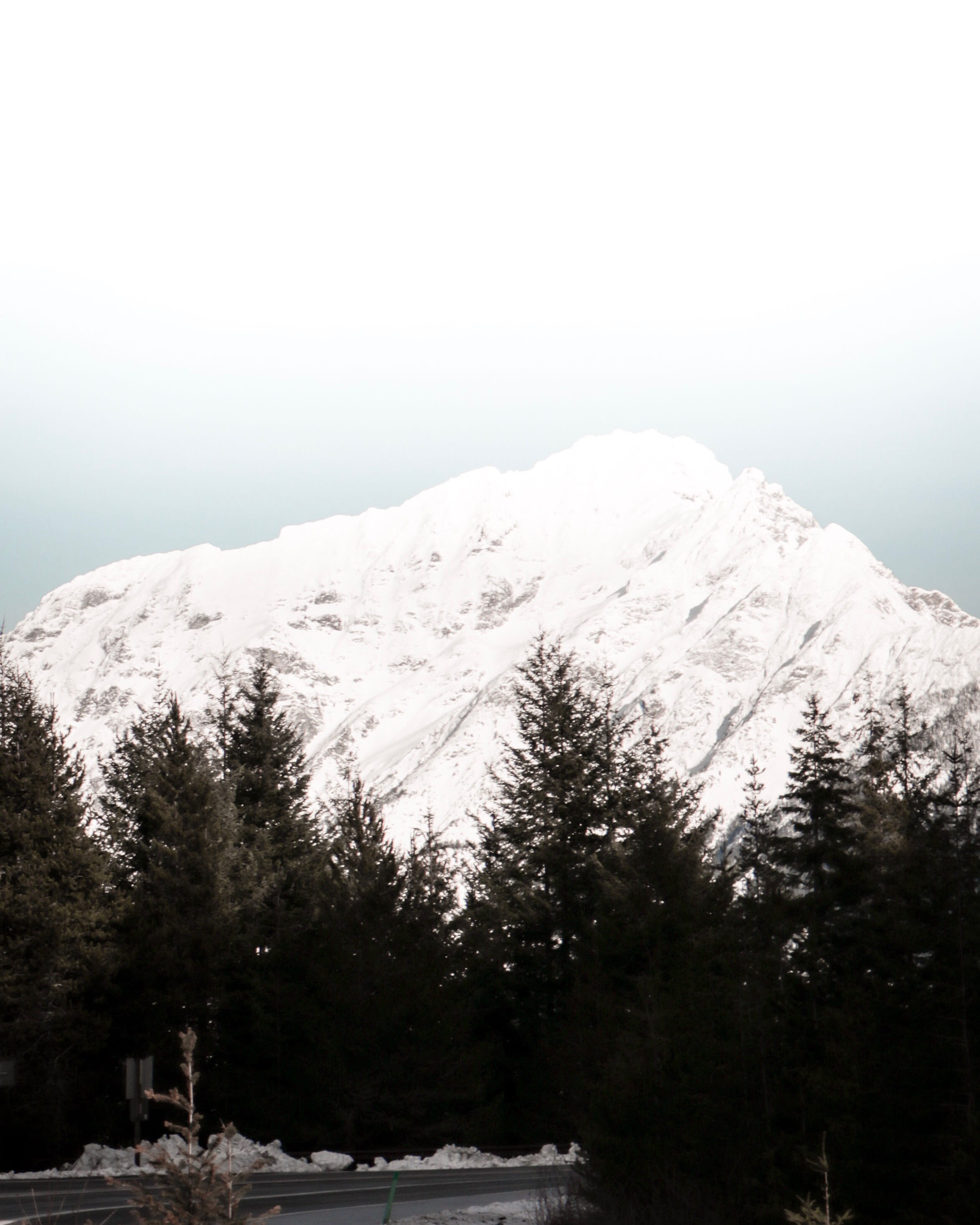 clear sky, snowcapped mountain, conifer, background, tranquility, 4301 20th st e, fir, coniferous tree, snow, no people, winter, mountain peak, mountain, Phone HD Wallpaper