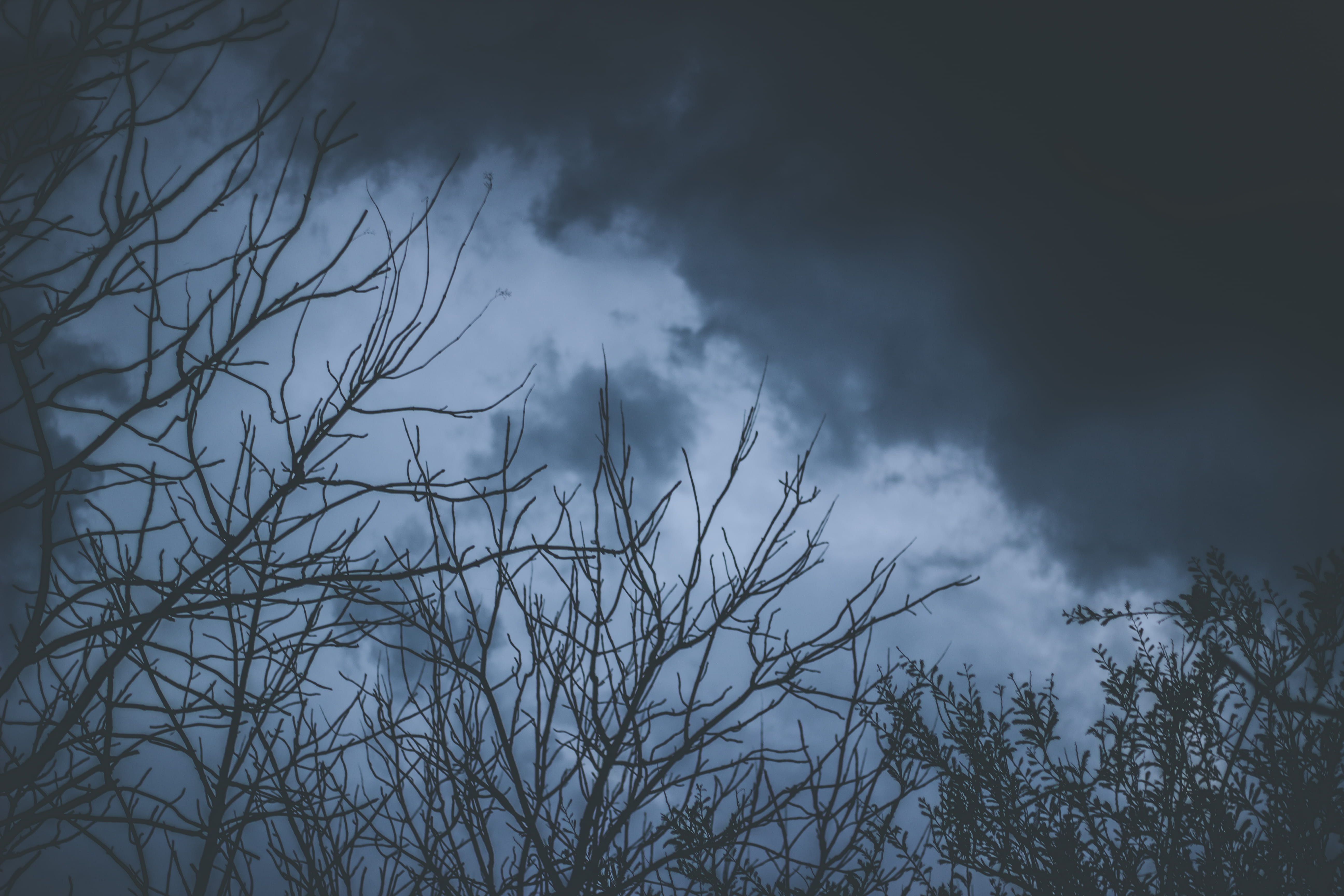 day, scenics - nature, non-urban scene, pc, tranquil scene, overcast, trees, woods, silhouette, 5K, canon, mac, sky, beauty in nature, HD Wallpaper