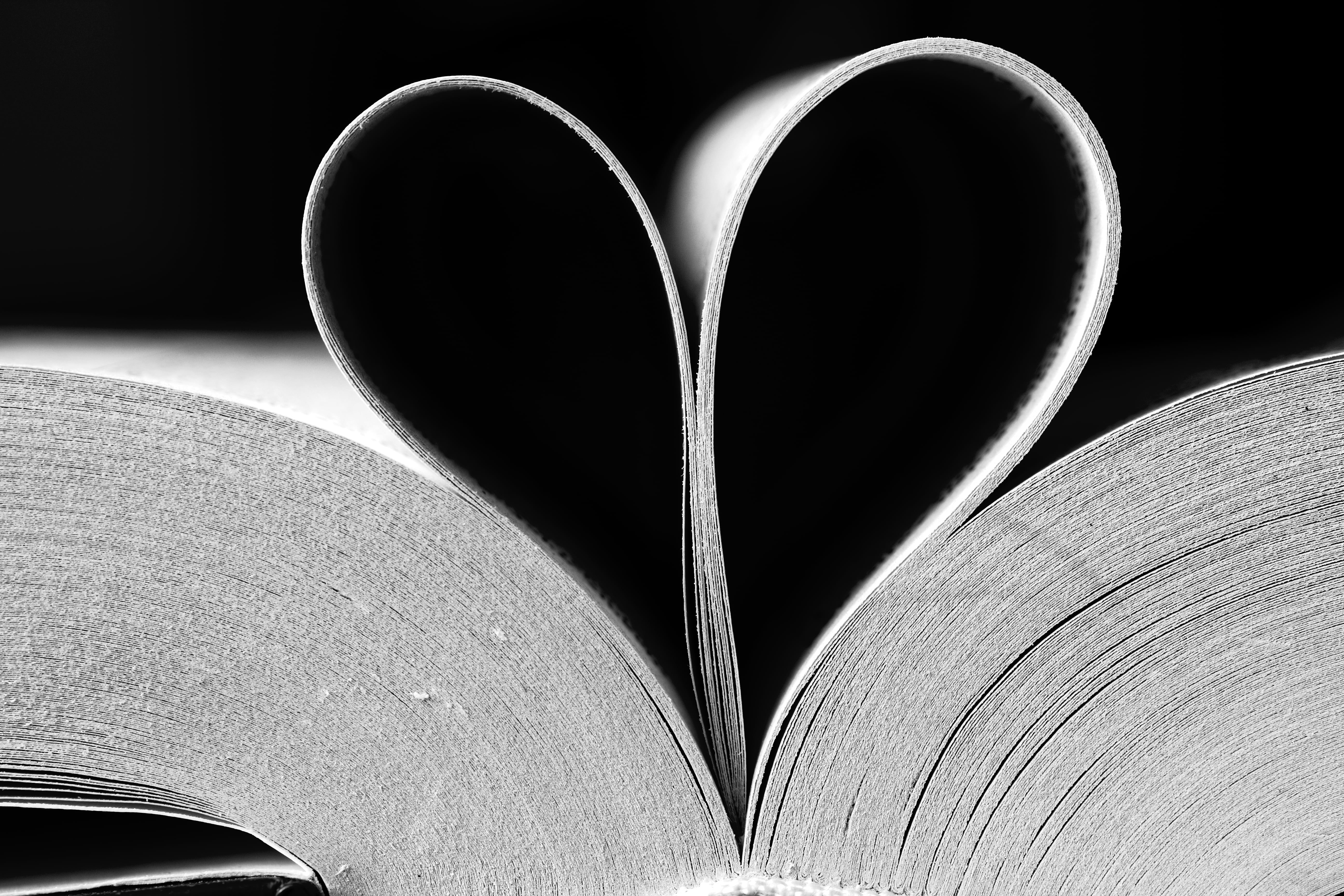 heart, Canon, book, close-up, close up, Book of love, pages, heart-shaped, 5K, bw, blackandwhite, 60mm, photo, Tamron, shaped, close, love  heart, 600D, HD Wallpaper