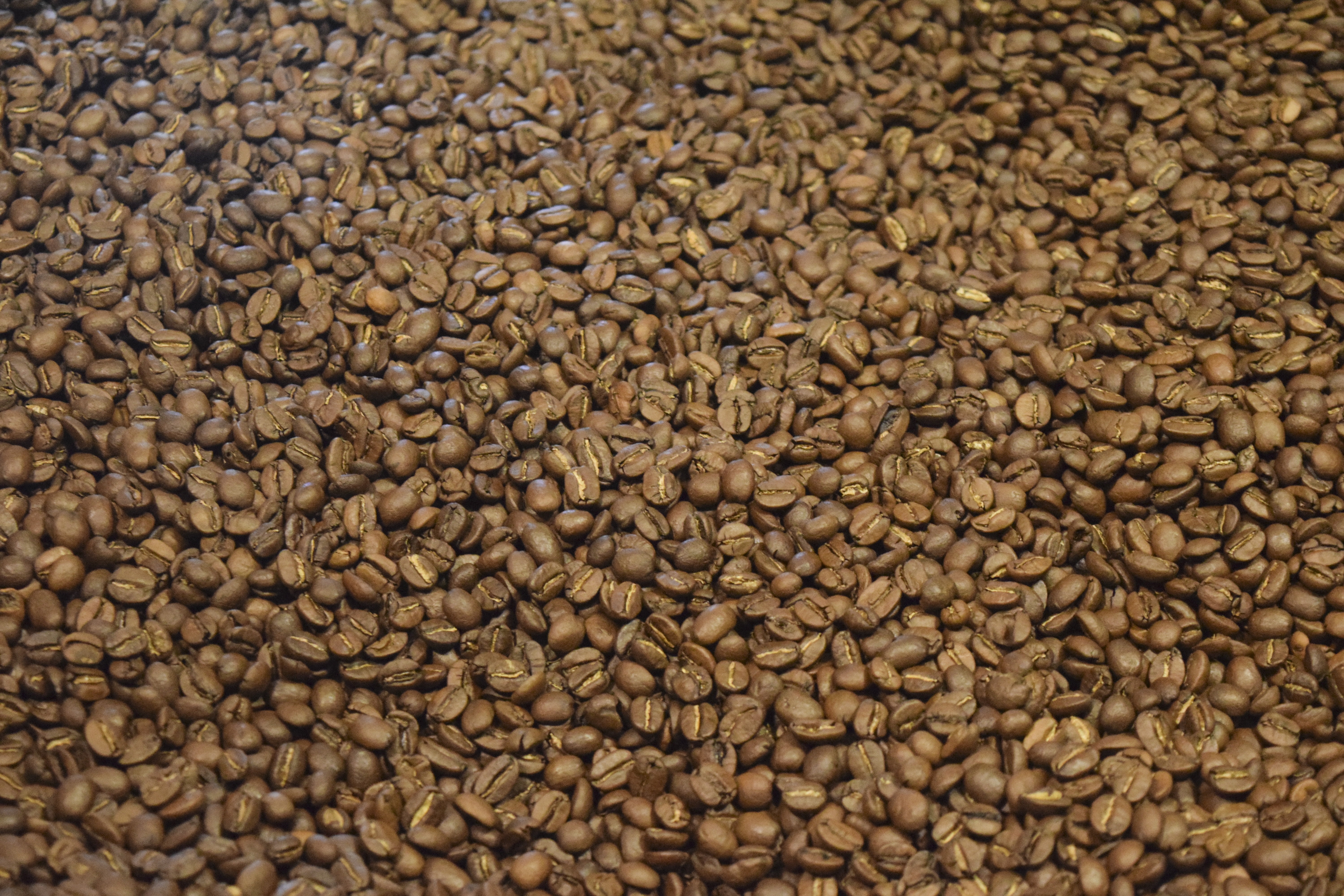 backgrounds, food, textured, texture, coffee bean, roaster, aroma, bean, roasted coffee bean, hot, steam, brew, coffee - drink, brewed, large group of objects, HD Wallpaper