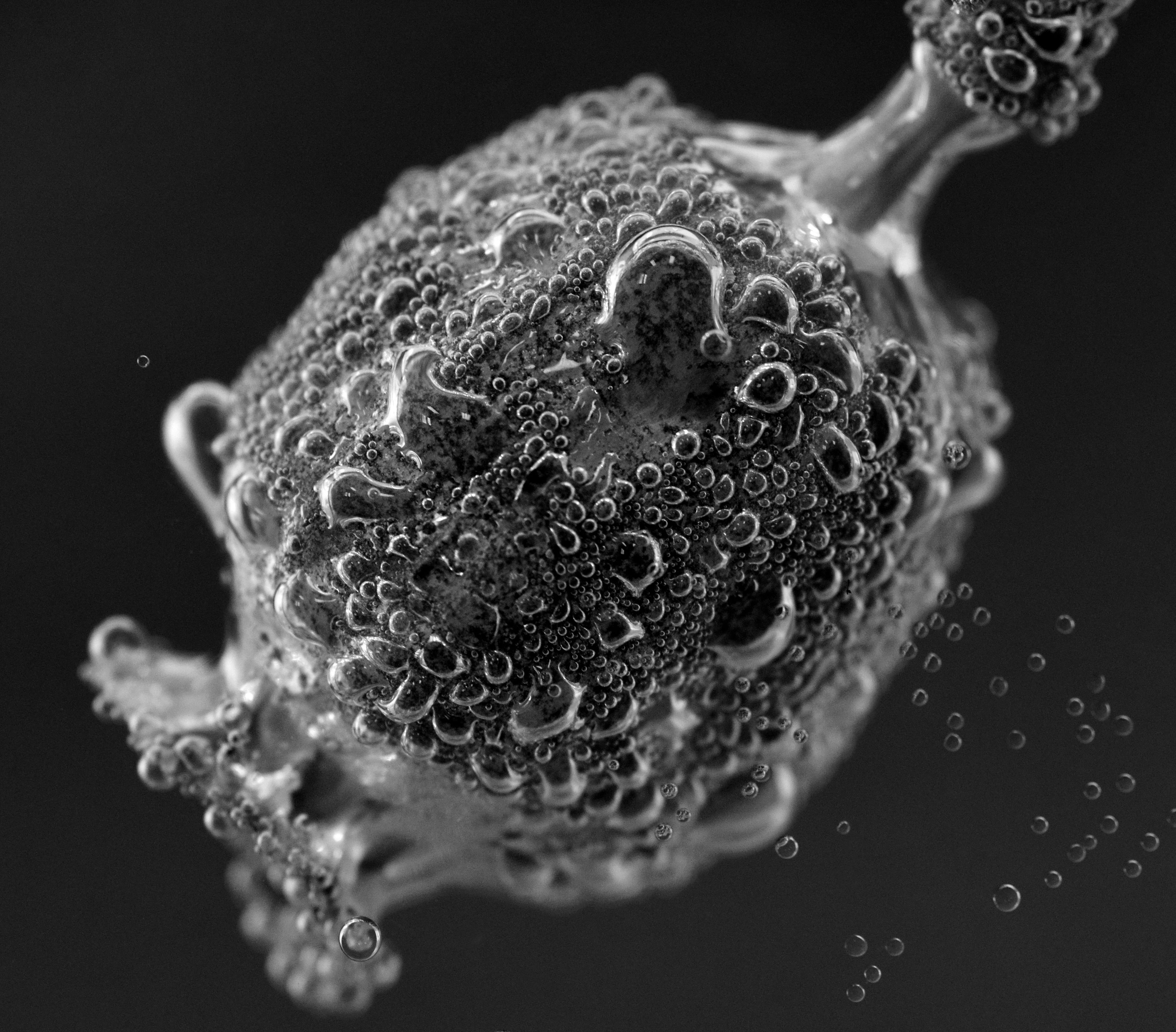 sphere, close-up, shape, healthcare and medicine, blubber, passed, soap sud, transient, poppy capsule, gas bubbles, beautiful, immersed, indoors, klatschmohn, HD Wallpaper
