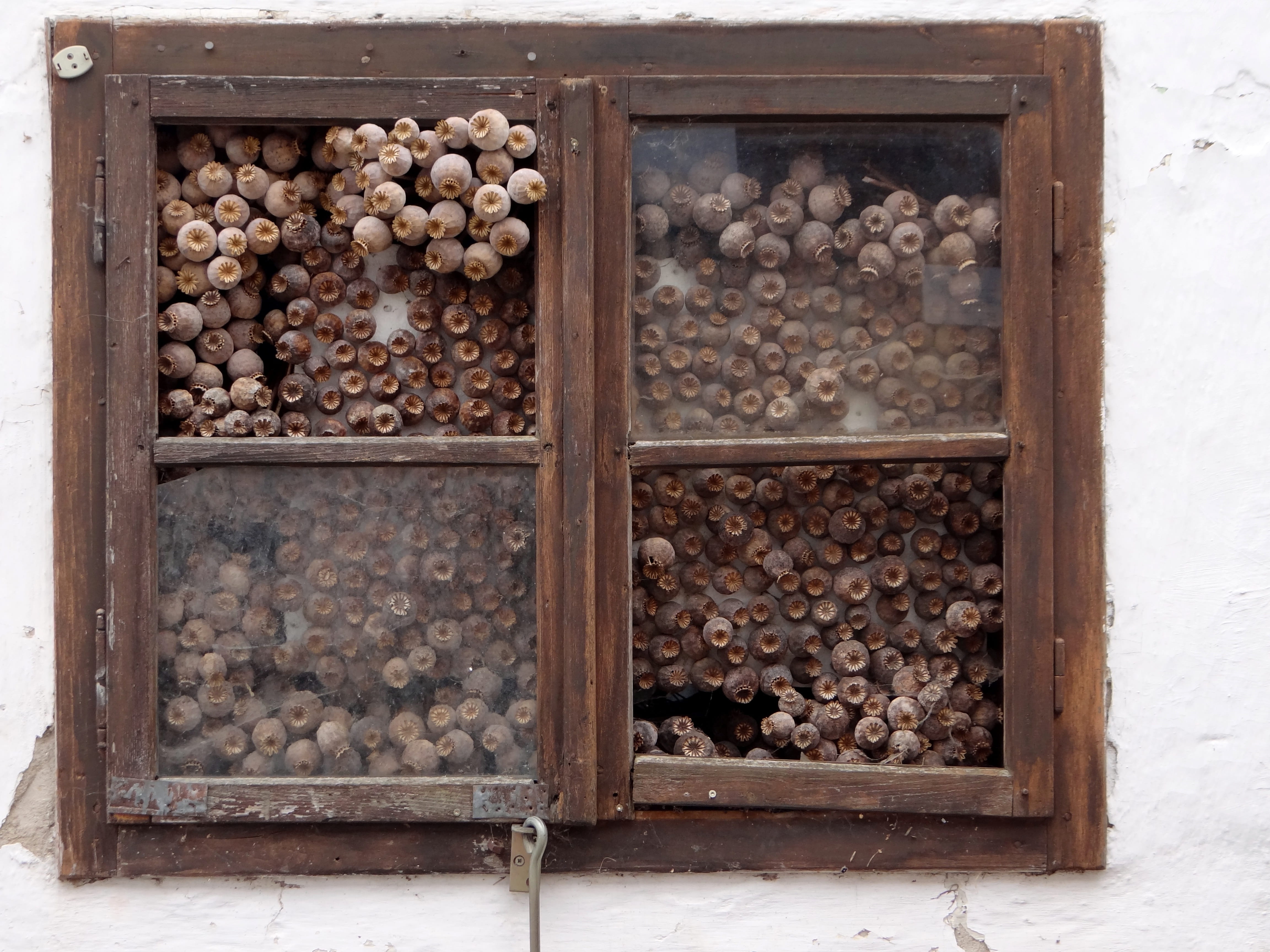 variation, food and drink, pattern, window, outdoors, day, stack, no people, wood - material, collection, seed capsules, store, poppy capsules, metal, solid, HD Wallpaper
