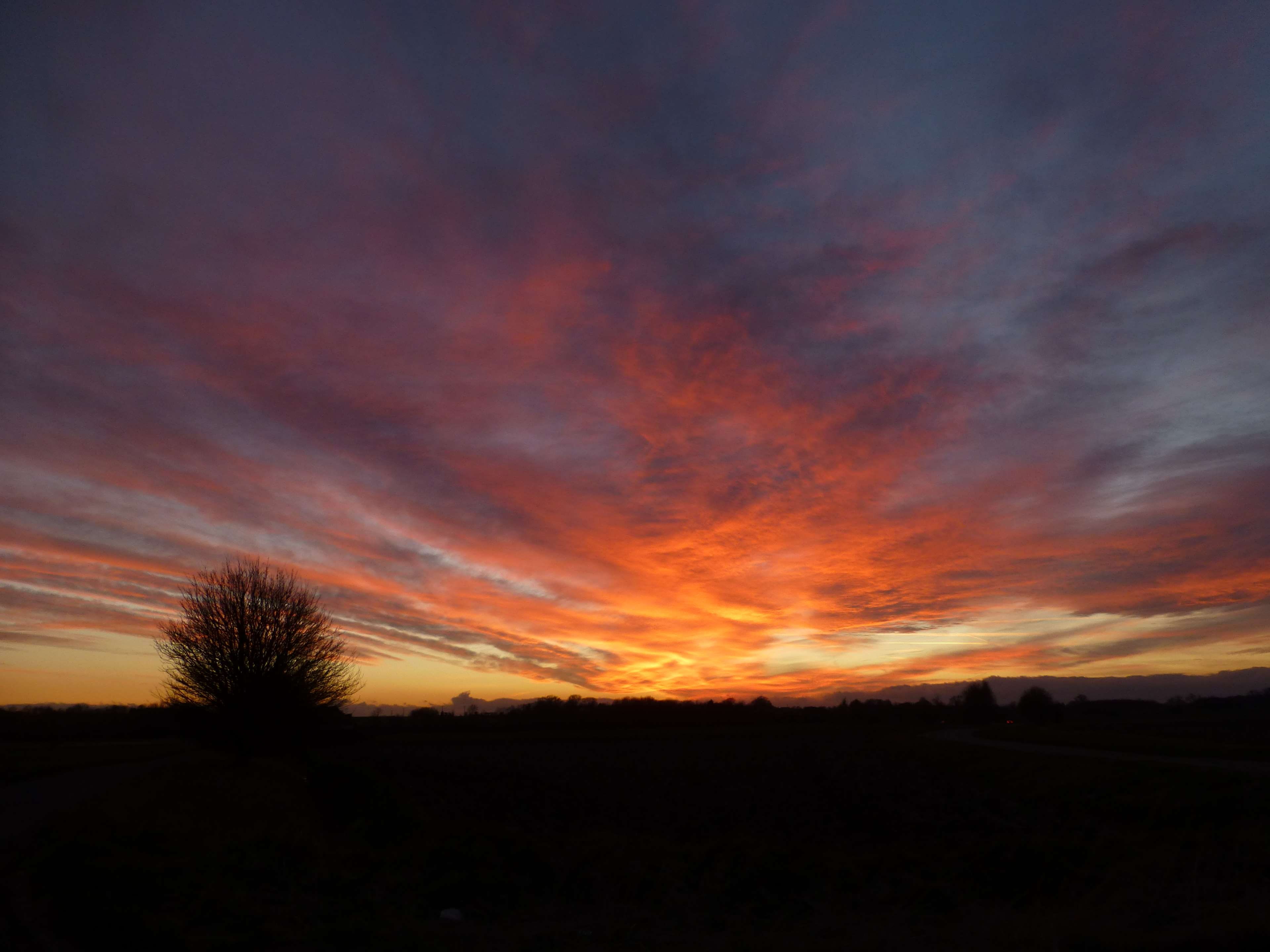 dramatic sky, sky, tranquil scene, scenics - nature, nature, orange color, plant, tranquility, dusk, no people, 4K, outdoors, dark, environment, cloud - sky, HD Wallpaper