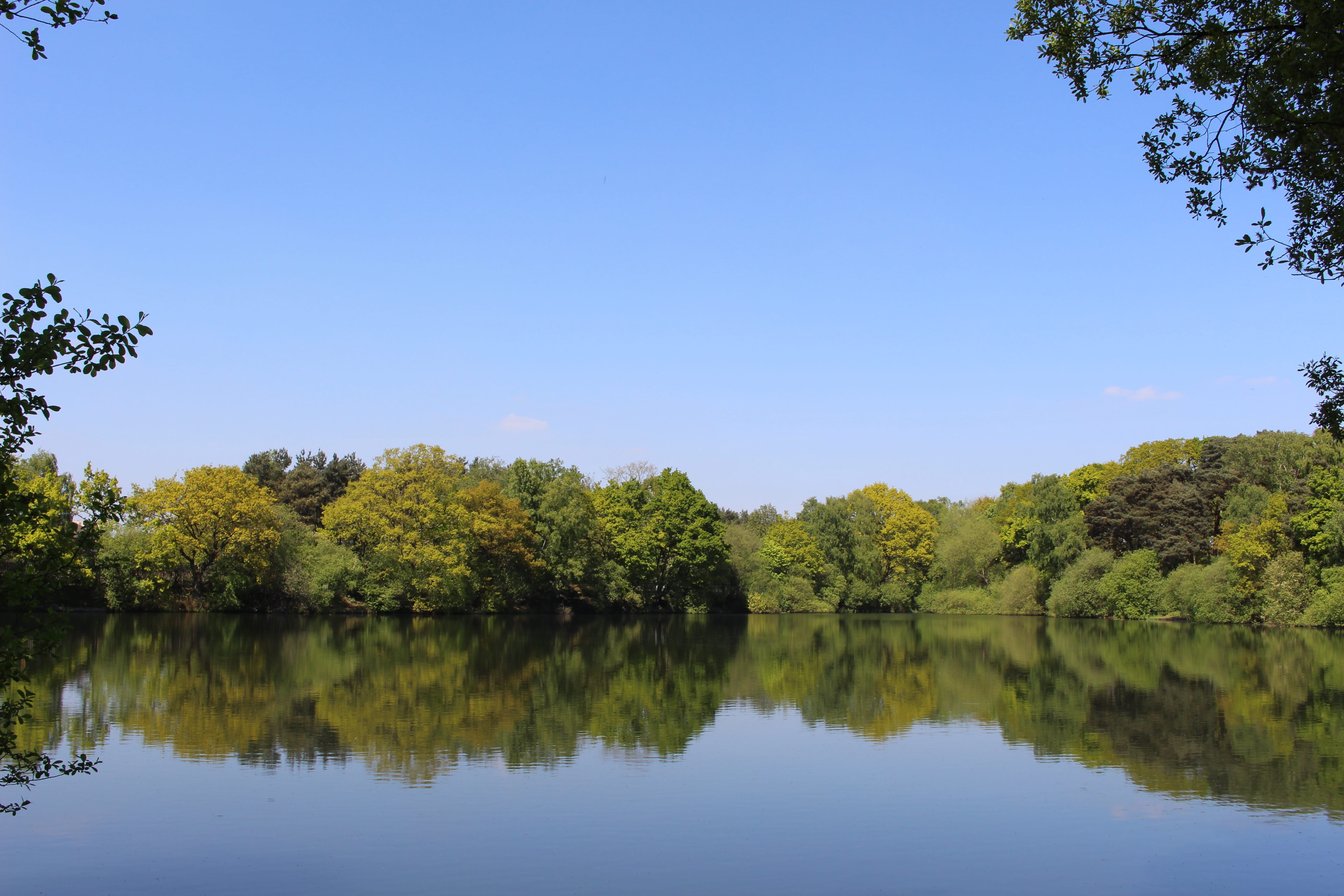 sky, lake, united kingdom, growth, trees, summer, beauty in nature, water, non-urban scene, green color, landscape, idyllic, 5K, clear sky, bushes, tranquility, HD Wallpaper