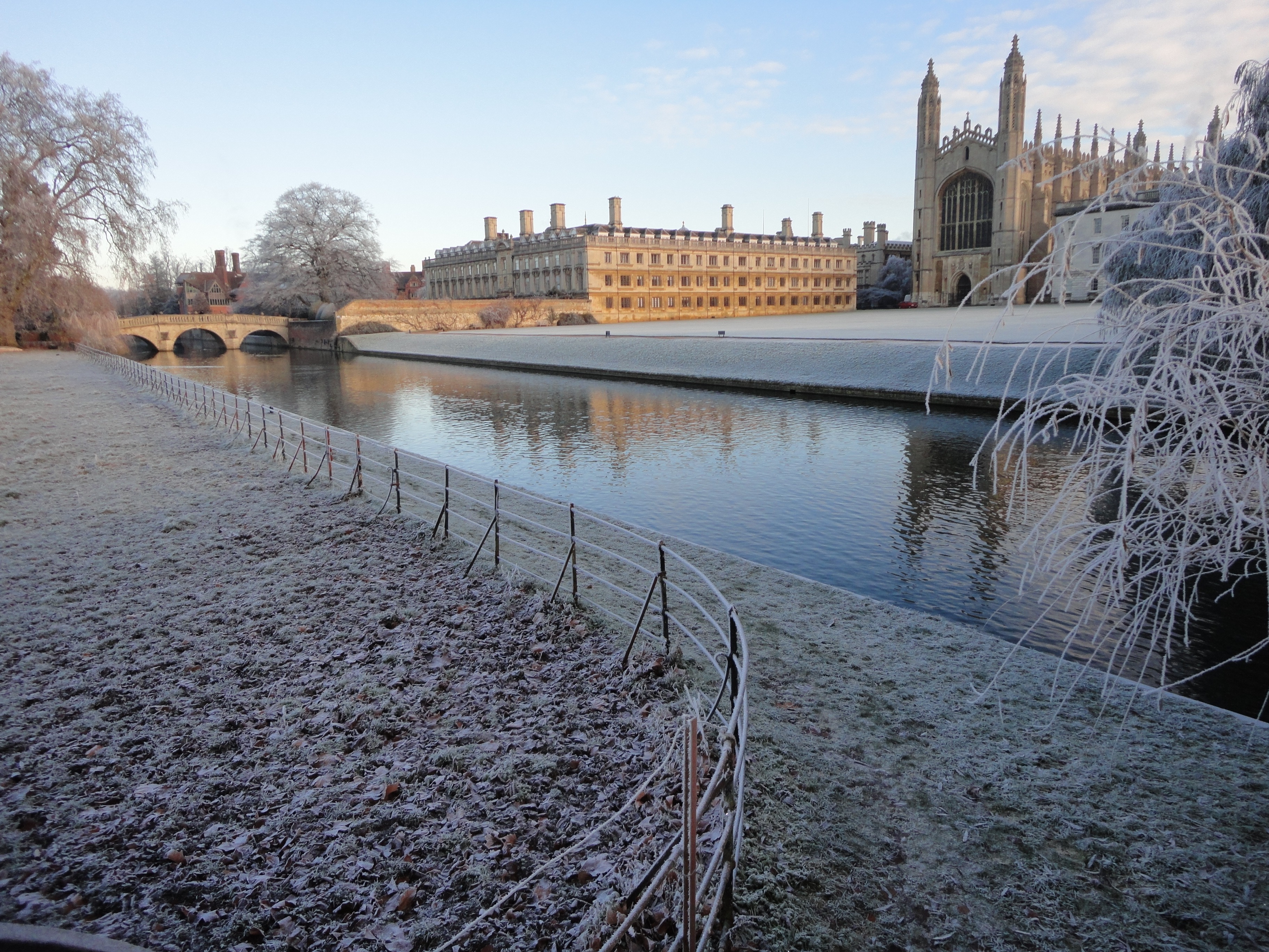tree, water, day, built structure, skyscraper, palace, river, nature, frost, building exterior, transportation, london, 2K, connection, plant, outdoors, HD Wallpaper