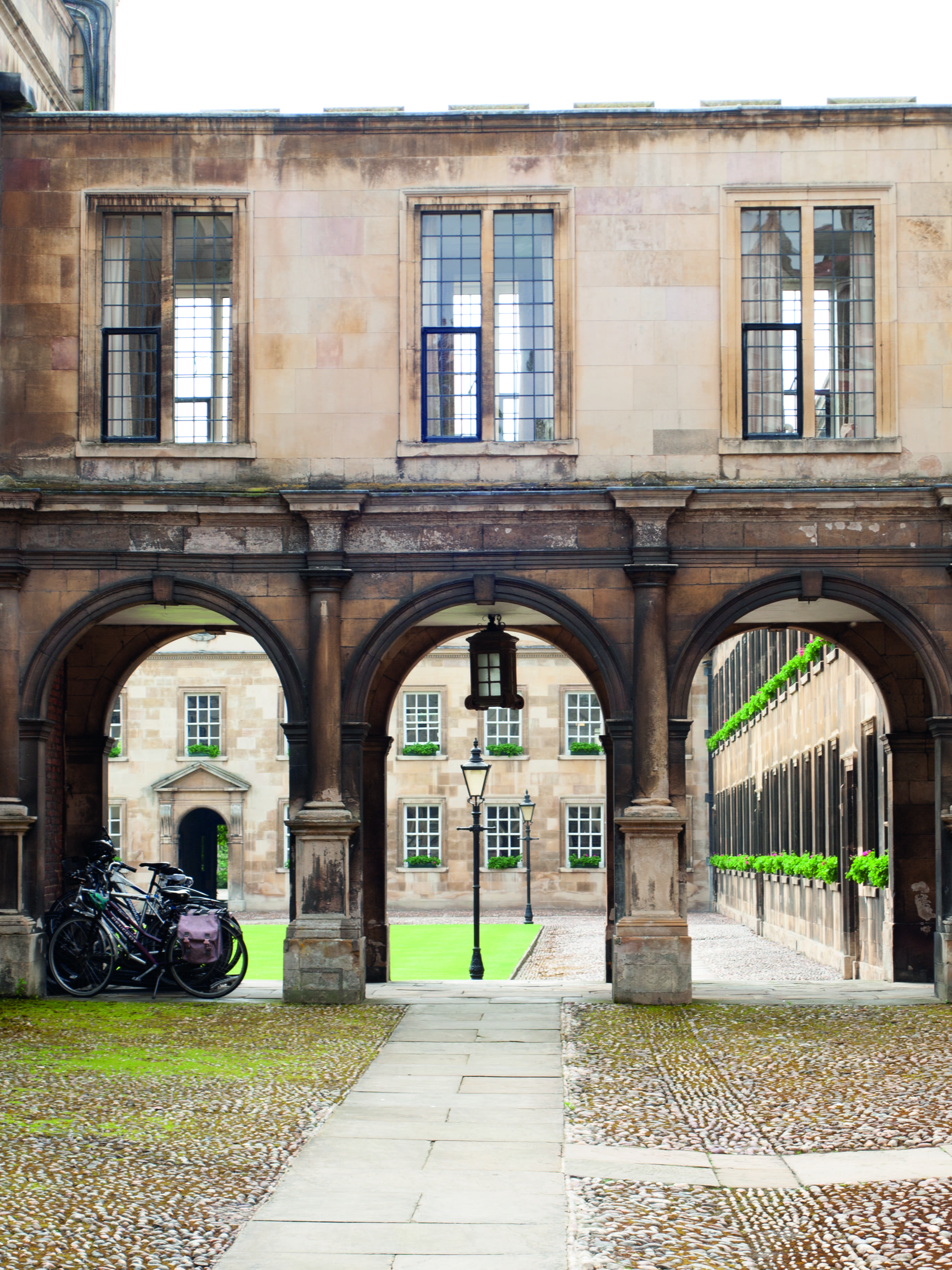 nature, entrance, architecture, the past, built structure, no people, university, residential district, footpath, 2K, arch, building, old, college, courtyard, Phone HD Wallpaper