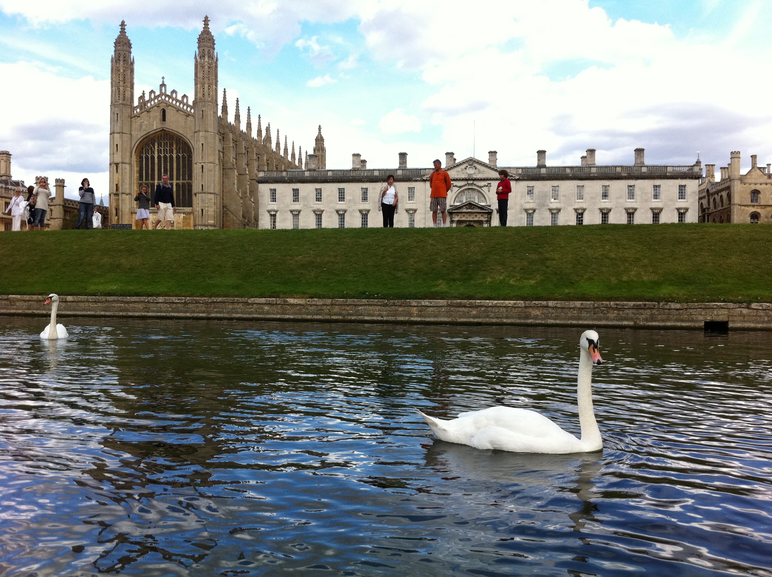 building exterior, water bird, england, kings college, group of animals, vertebrate, building, animal, uk, ducks, sky, water, 2K, animal themes, built structure, HD Wallpaper