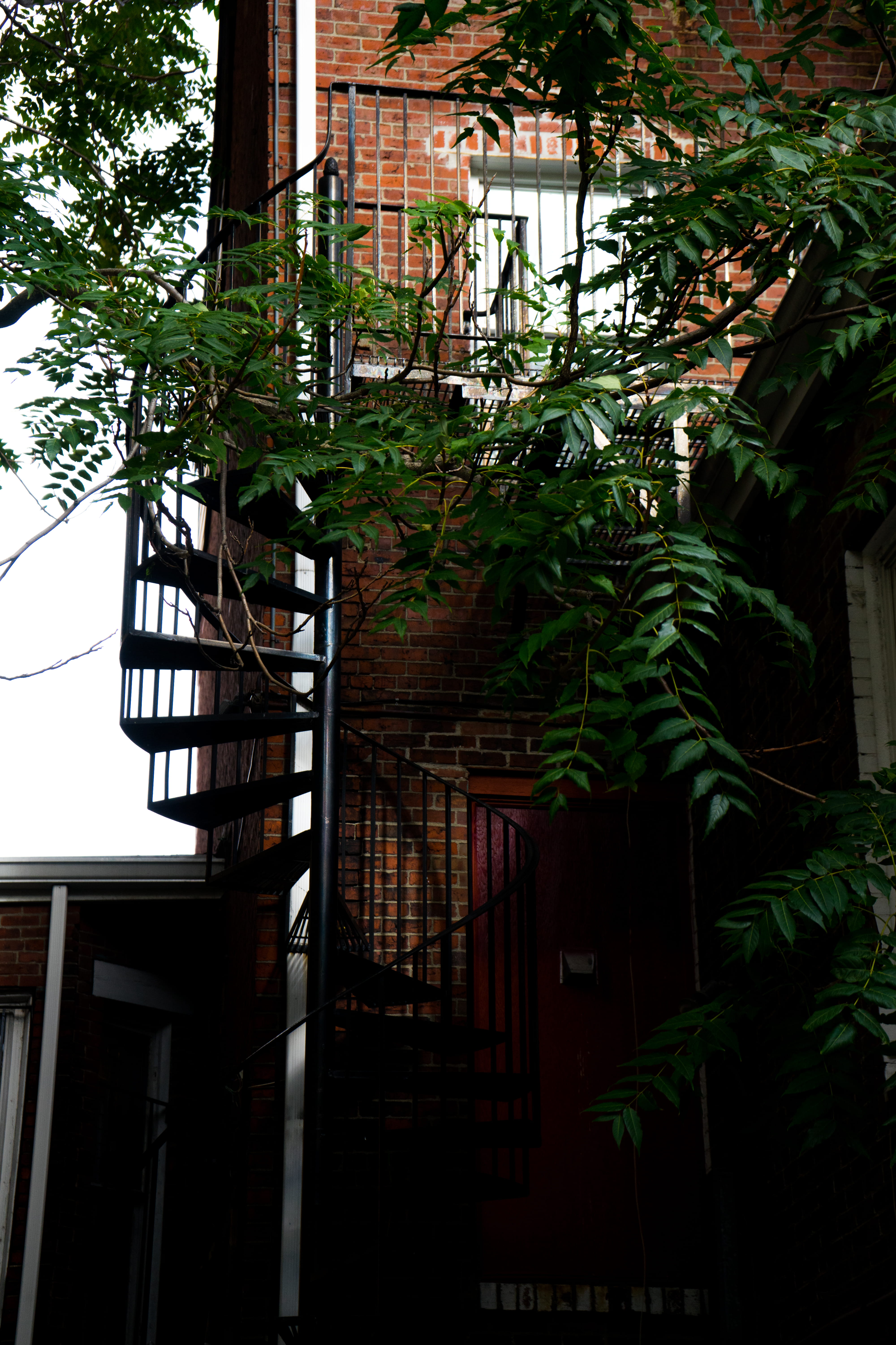 architecture, location, place, house, nature, harvard university, window, cambridge, day, tree, 5K, low angle view, no people, building exterior, city, Phone HD Wallpaper