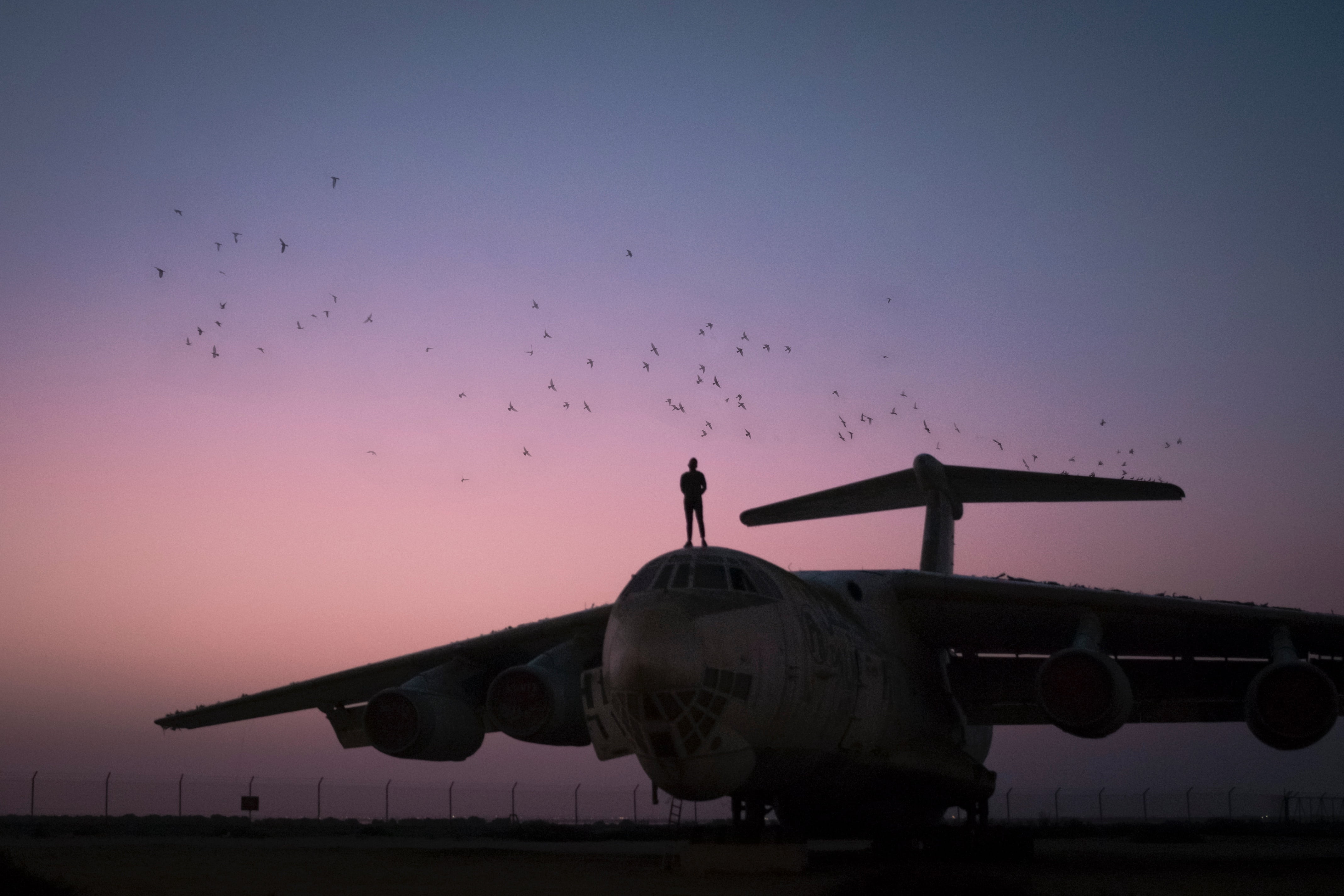 travel, mode of transportation, aerospace industry, dusk, outdoors, vertebrate, plane, flying, fighter, no people, view, pilot, bird, purple, air, air Vehicle, HD Wallpaper