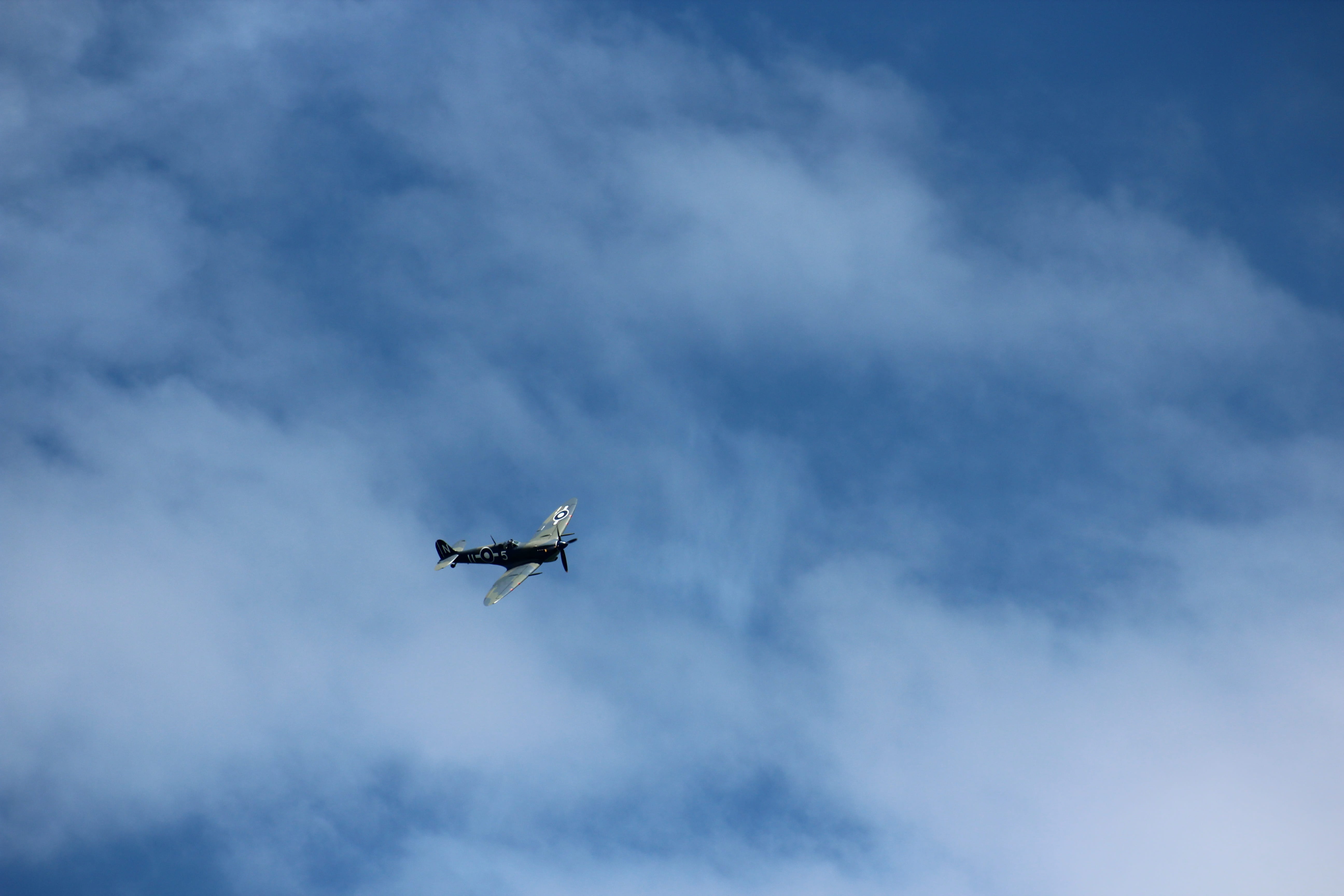 fighter, museum, 5K, air vehicle, hero, nature, mid-air, flight, transport, motion, low angle view, ww2, mode of transportation, on the move, beauty in nature, HD Wallpaper