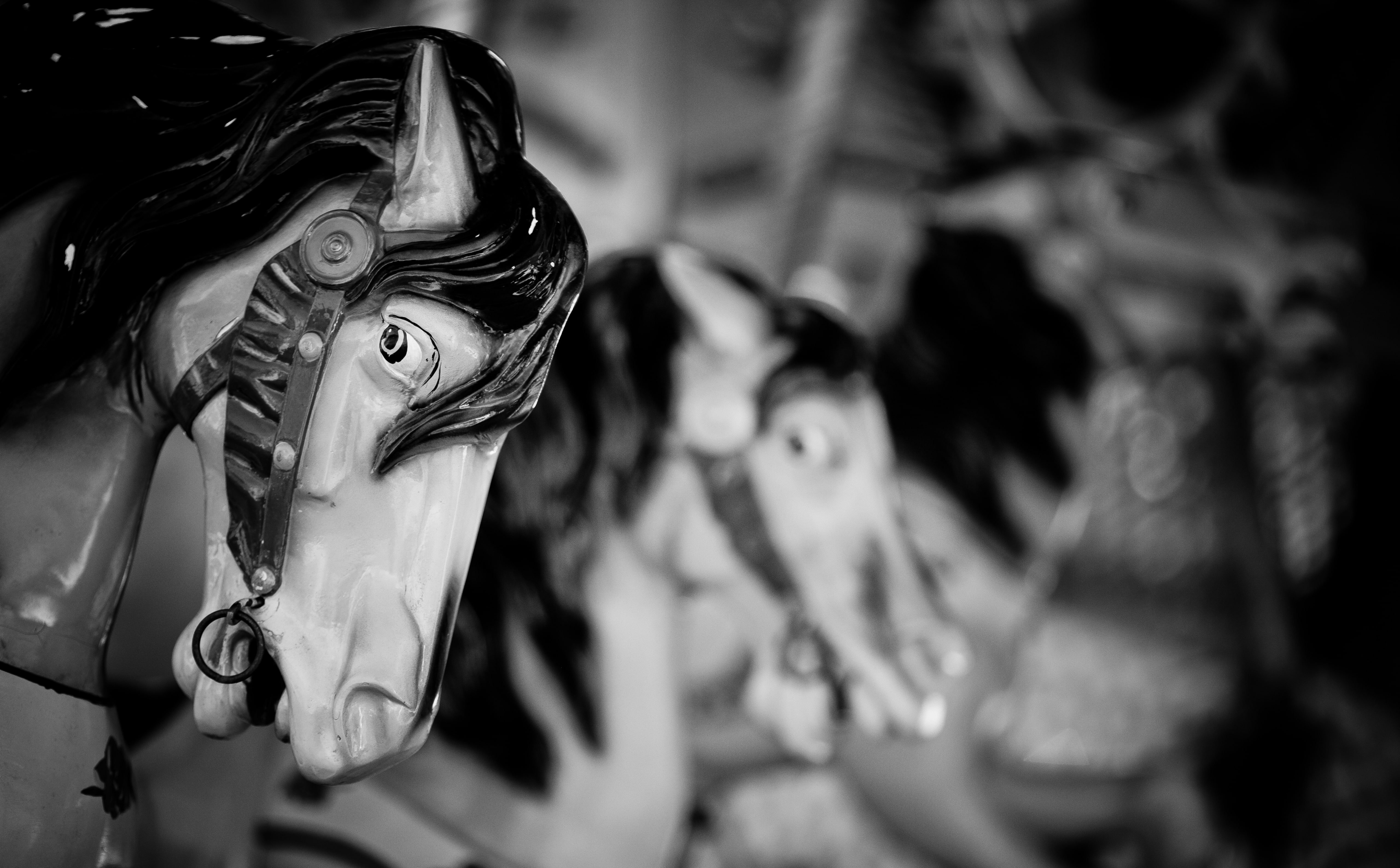 Horse, day, selective focus, festival, creativity, representation, clothing, beauty, united states, Carousel, Black and White, 5K, people, five, women, HD Wallpaper