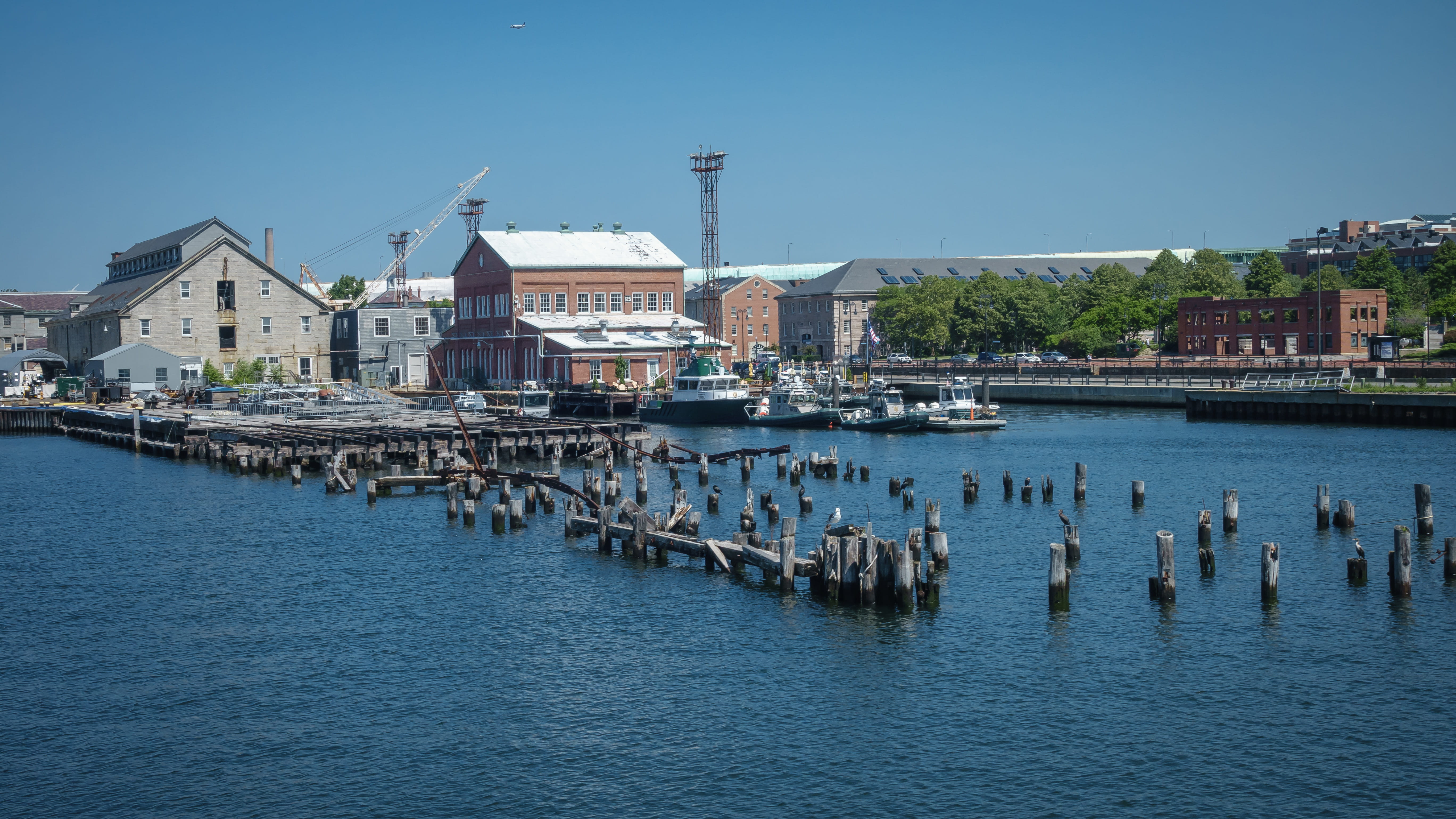 boston, boston harbor, outdoors, bird, sky, animals in the wild, city, united states, building, no people, nature, water, day, boating, harbor, 5K, animal wildlife, HD Wallpaper