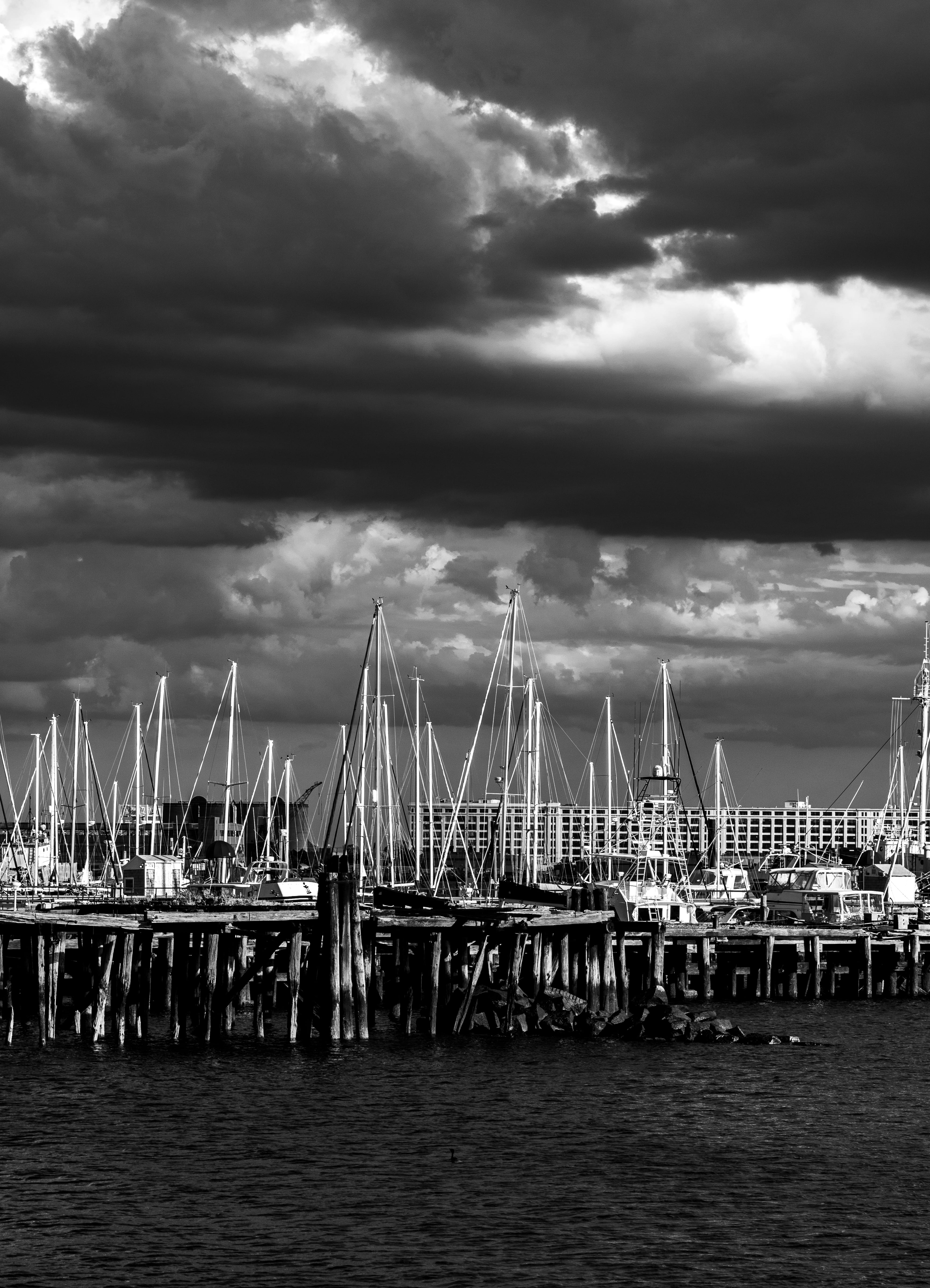 summer, commercial dock, transportation, mode of transportation, nature, sail boats, construction equipment, pier, boston, clouds, marina, nautical vessel, Phone HD Wallpaper