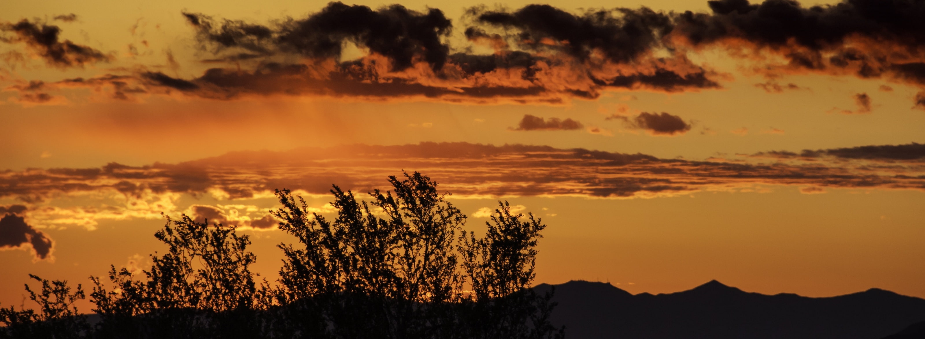 Sunset, Scottsdale, panorama, unitedstates, Scenery, tree, Arizona, 2K, Nature, msh0413, Orange, idyllic, Mountains, Sun and Sky, msh041317, cloud - sky, HD Wallpaper