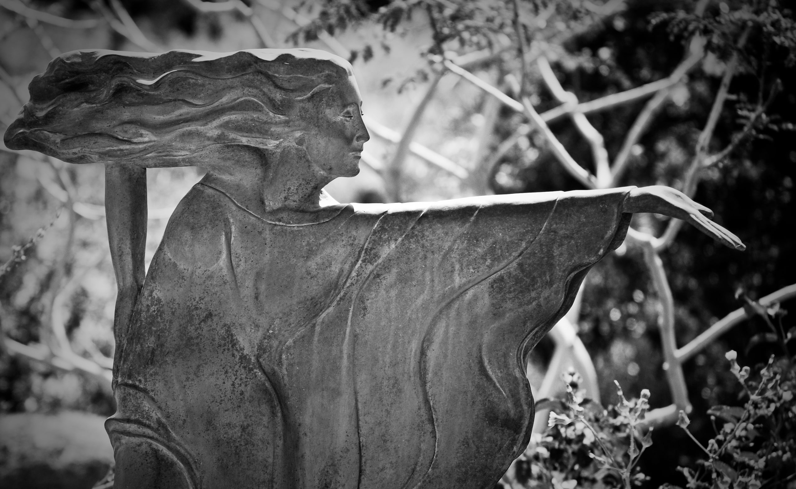 art and craft, growth, Arizona, creativity, nature, cemetery, human representation, outdoors, old, tree, 2K, dead plant, Black and White, close-up, focus on foreground, HD Wallpaper