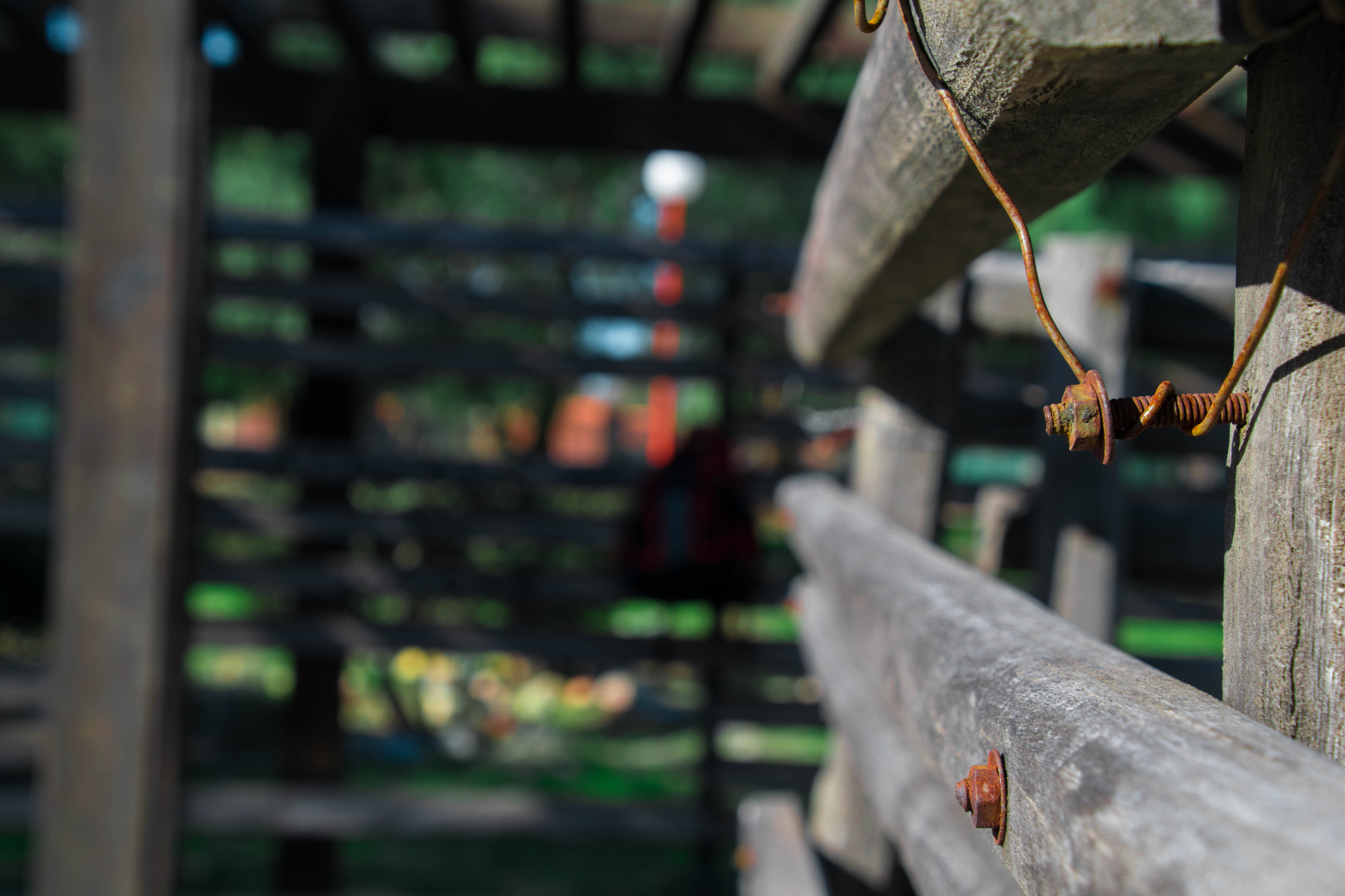 built structure, hanging, day, close-up, selective focus, plant, metal, little plants, railing, outdoors, architecture, barrier, fence, protection, nature, HD Wallpaper