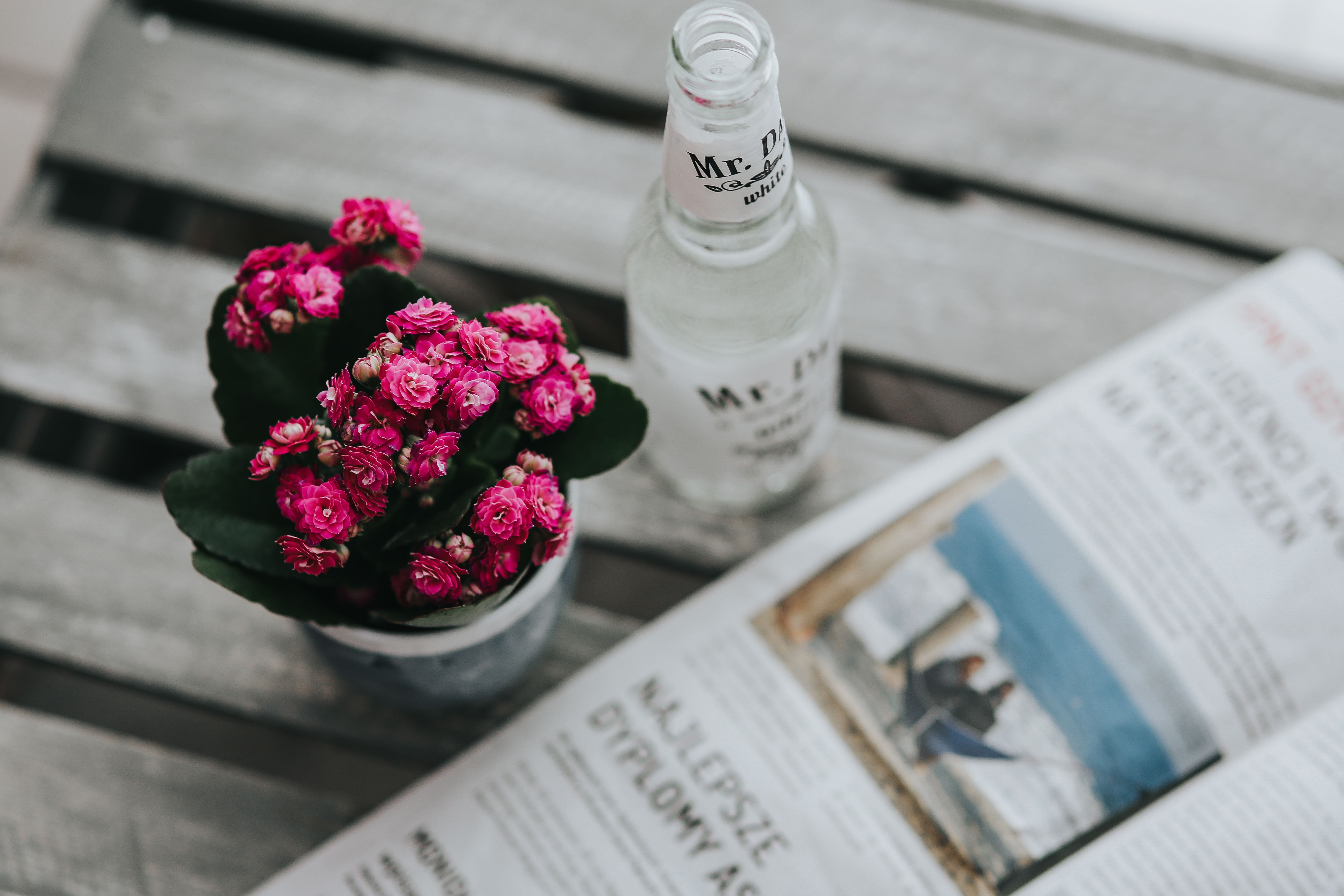 flowers, beauty in nature, high angle view, communication, table, vase, cute, focus on foreground, publication, plant, day, close-up, newspaper, drink, HD Wallpaper