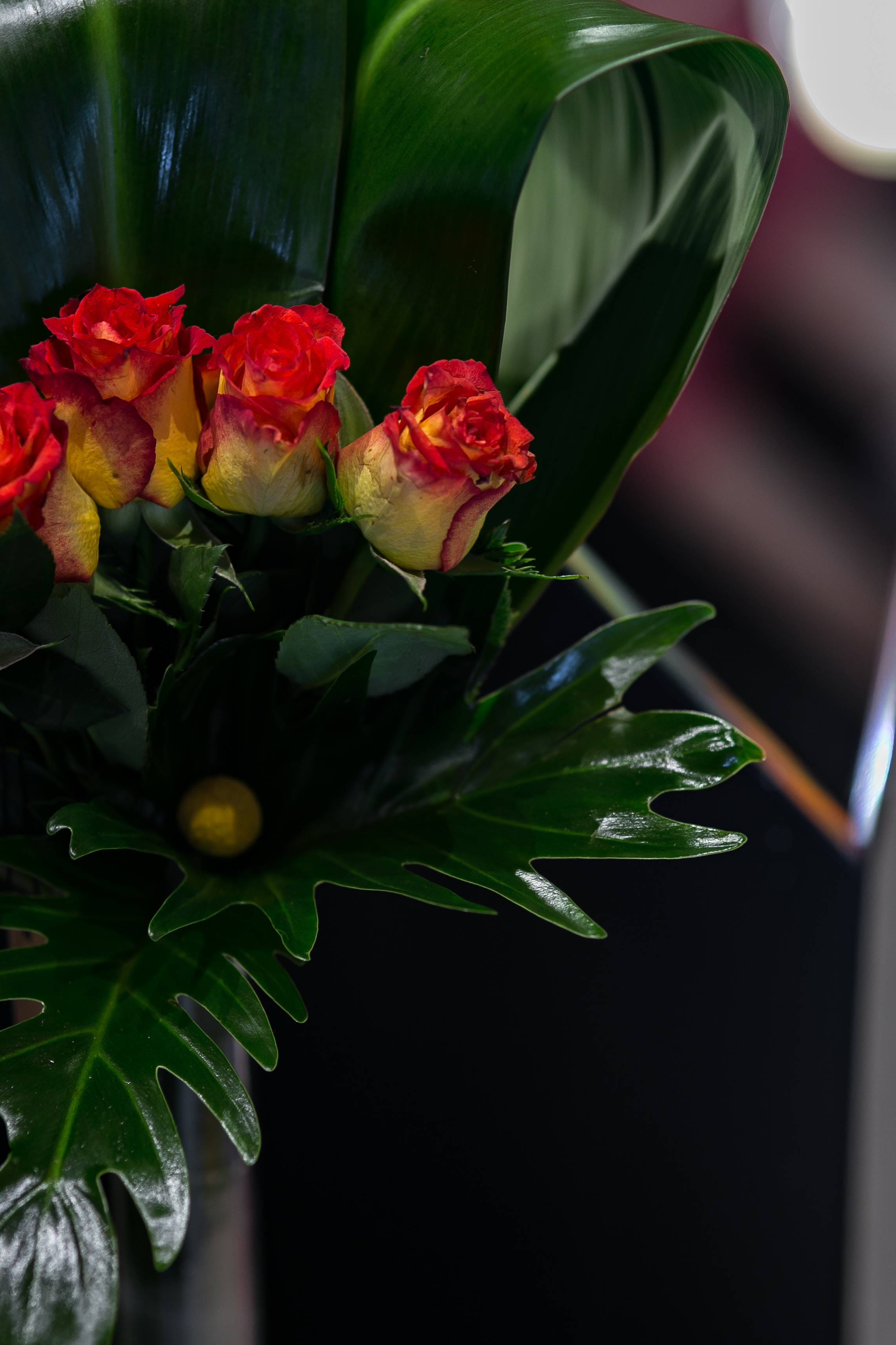 yellow roses, 2K, focus on foreground, flora, outdoors, beauty in nature, flower arrangement, close, red, flowering plant, Close-up, little red, flower Head, Phone HD Wallpaper