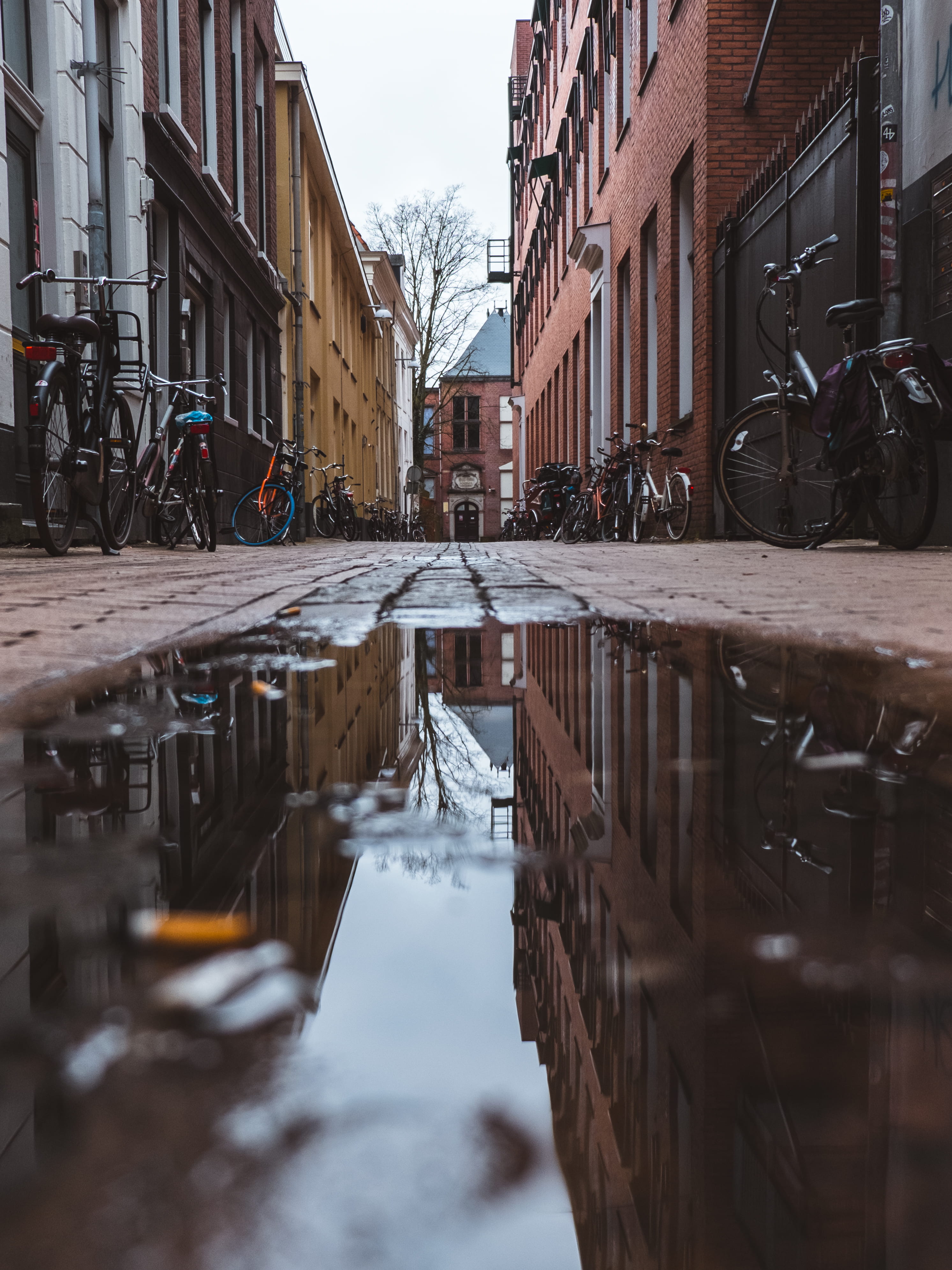 cobble, day, symmetry, canal, path, architecture, buildings, residential district, nature, outdoors, beside, water, park, puddle, waterfront, transportation, Phone HD Wallpaper