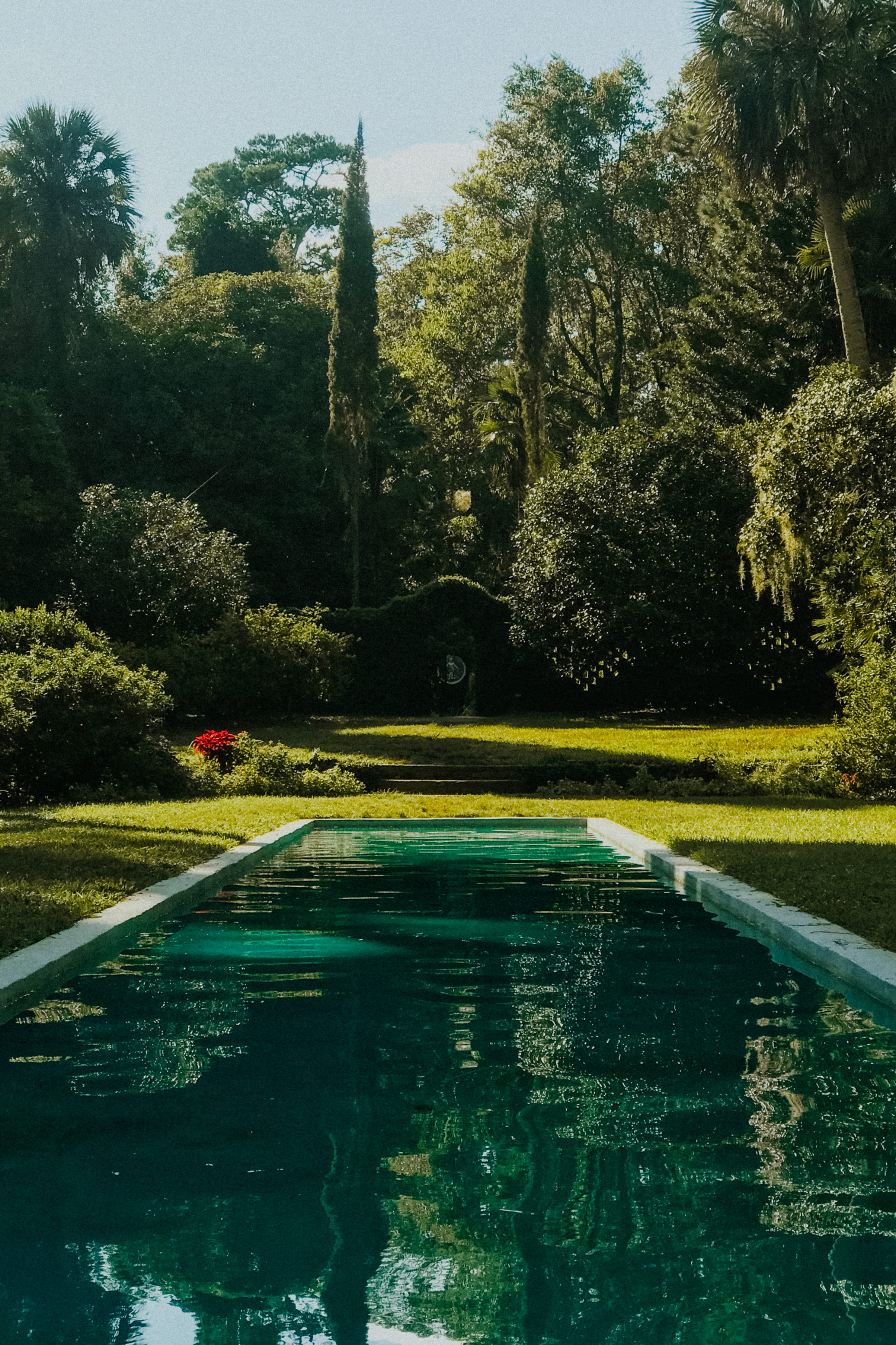grasses, outdoors, architecture, no people, yew, park, sky, park - man made space, green color, nature, swimming pool, flora, near, waterfront, rainforest, Phone HD Wallpaper